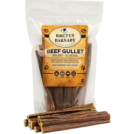 gullet stick