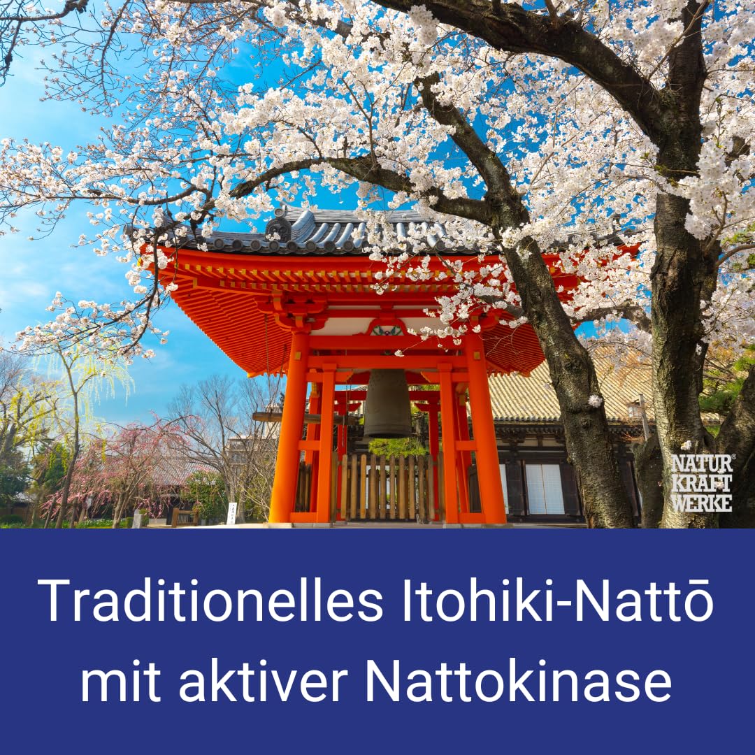 NATTO fermentierte Sojabohnen Pulver 150 g, reich an Vitamin K2 & Nattokinase, GVO-frei, taditionelles japanisches Superfood
