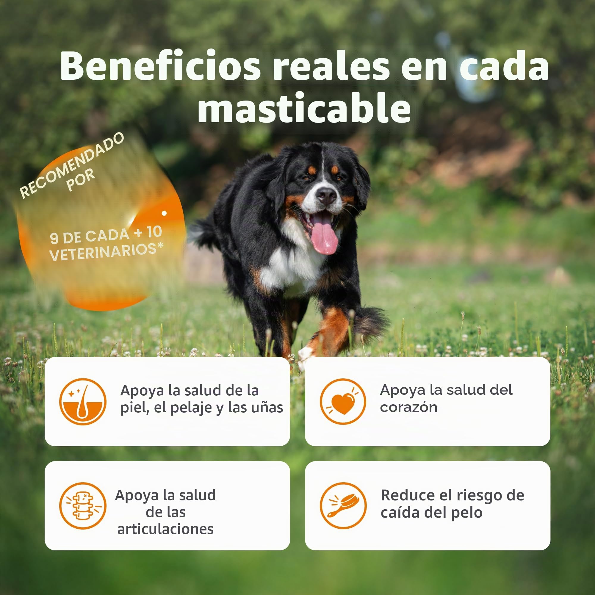 Zesty Paws Cuidado de la Piel y Pelaje de salmón con Aceite de Pescado para Perros | Apoya el Pelaje Saludable | Masticables con vitaminas y Suplementos para Perros - 90 Piezas