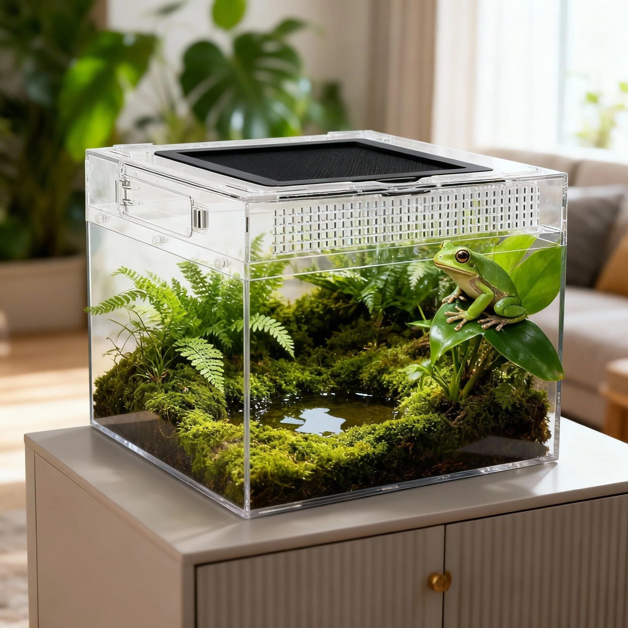 Terrarium pour Reptiles,40*20*25cm Transparent Boîte d'élevage en Acrylique pour Reptiles avec Trous d'air, pour Araignées, Grenouilles Cornues, Coléoptères, Lézard et Autres Reptiles (15.7*8*10in)