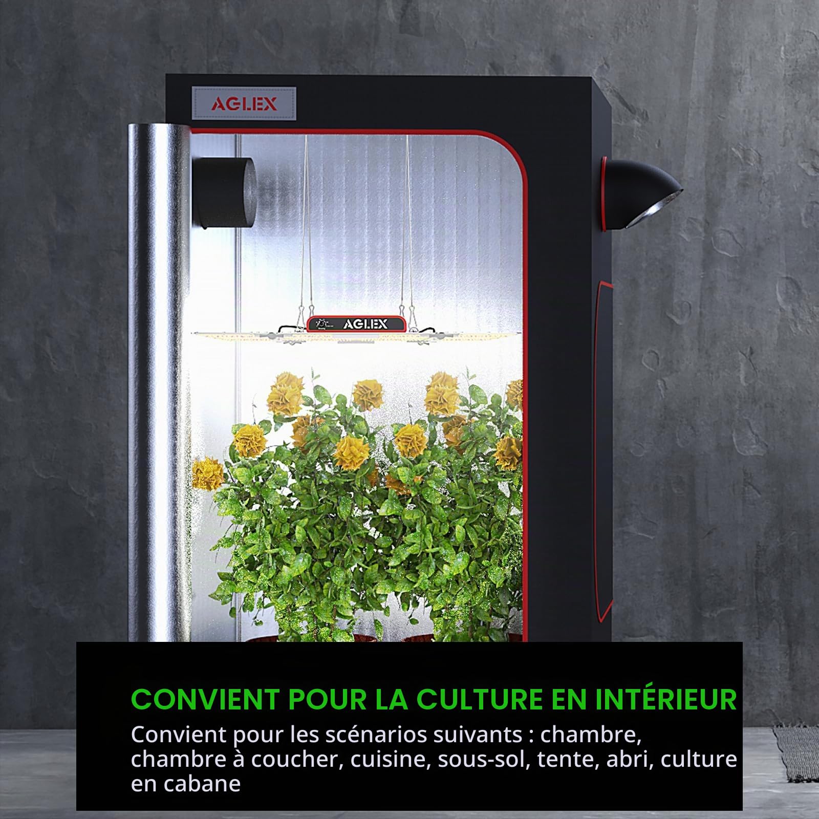 AGLEX Lampe de Culture LED 4000W, Spectre Complet avec UV IR, Éclairage LED pour Plantes en Croissance, Semis, Floraison, Lampes de Croissance 5X6 FT de Couverture avec Daisy Chain & Variateur