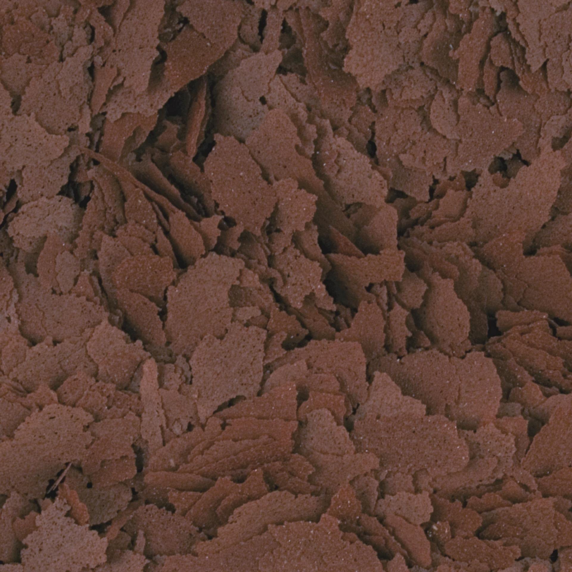 Mangime Per Pesci Tropicali D-ALLIO PLUS Con Aglio - Scaglie 1000ml | Rafforza E Aiuta La Digestione - Foto 8