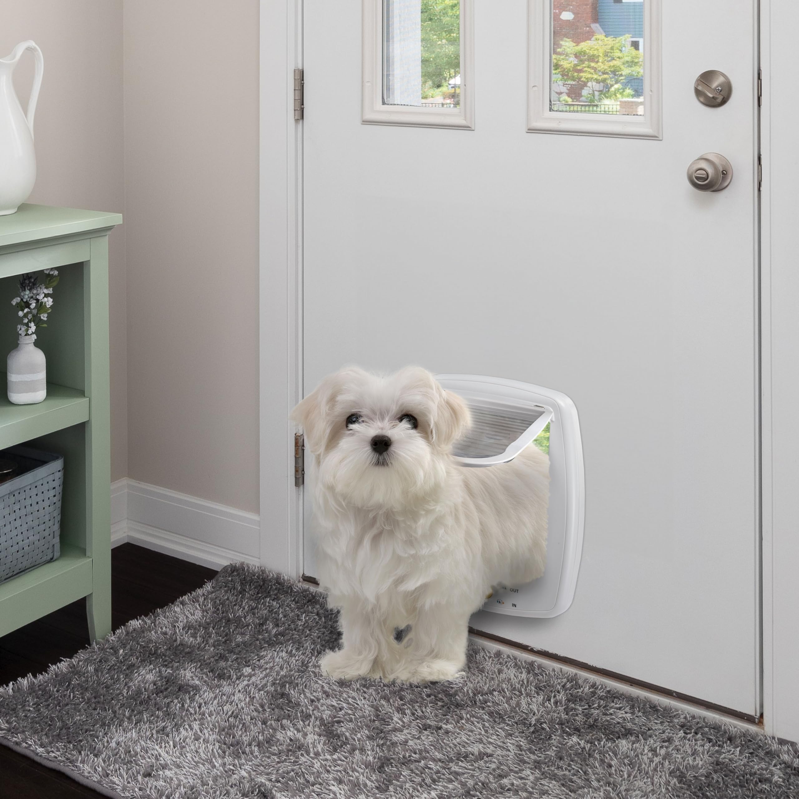 Ferplast Gattaiola, Porta per Gatti e Cani, Entrata e uscita controllabile 4 vie, Protezione da Correnti d'Aria, Porticina per Cani Gatti, Taglia M, Bianco