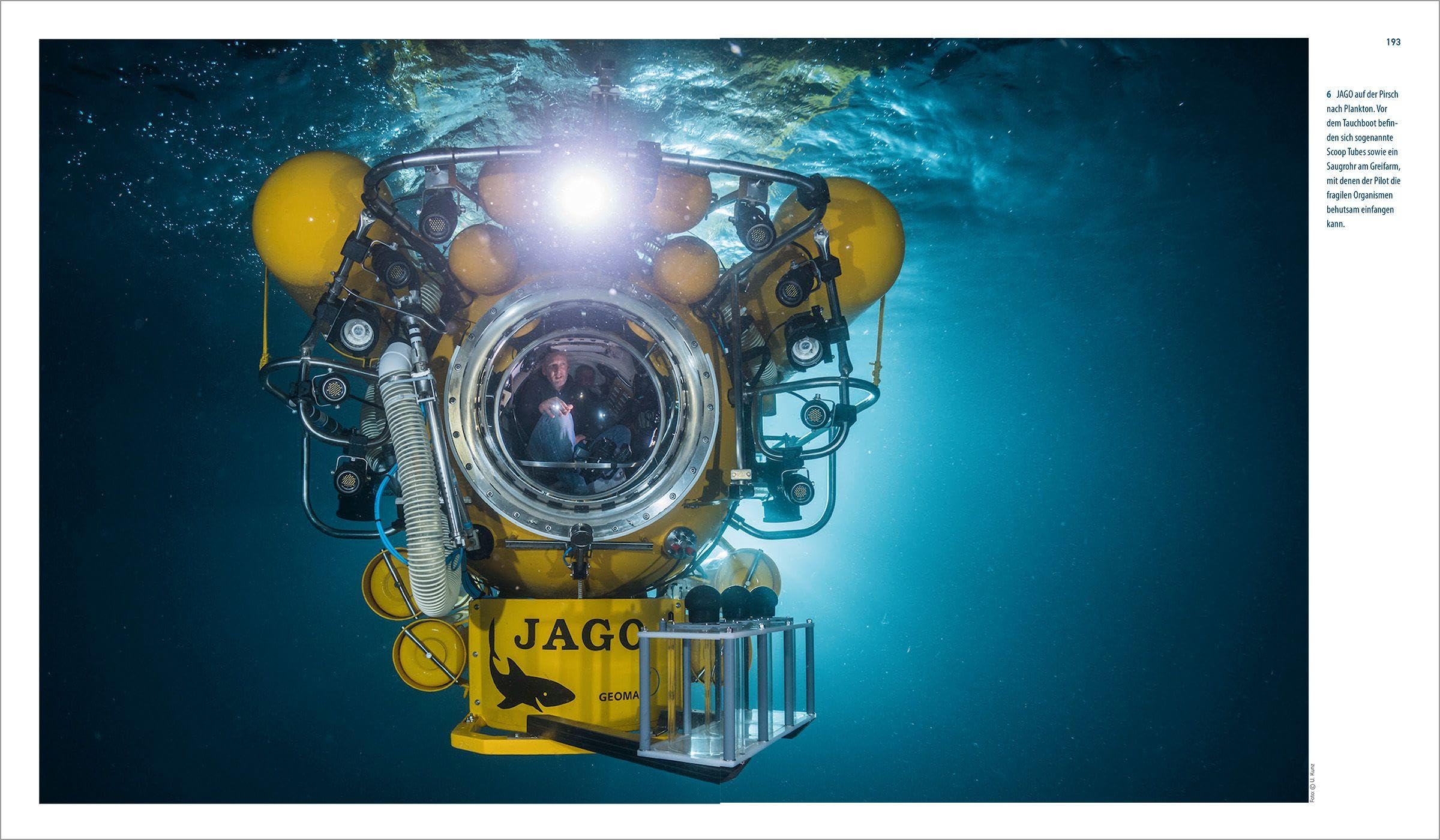 Expedition ins Unbekannte: Spektakuläre Schiffswracks der Tiefsee
