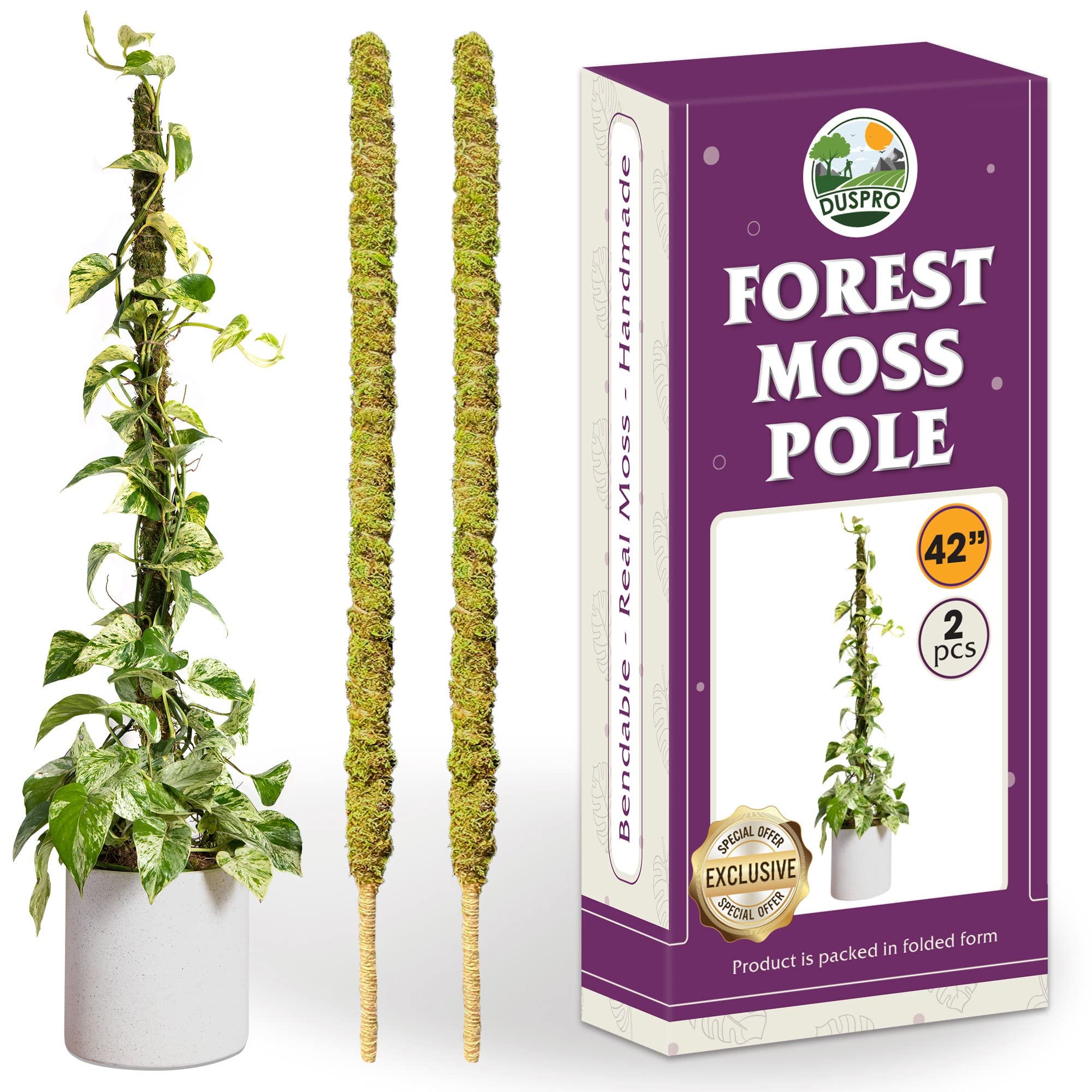 Duspro2Pack 42 Inch Forest Moss Pole, Bendable Moss Pole for Monstera, Thin Plant Pole, Sphagnum Moss Sticks for Cheese Plant, Handmade Plant Supports for Indoor Plants to Grow Upwards