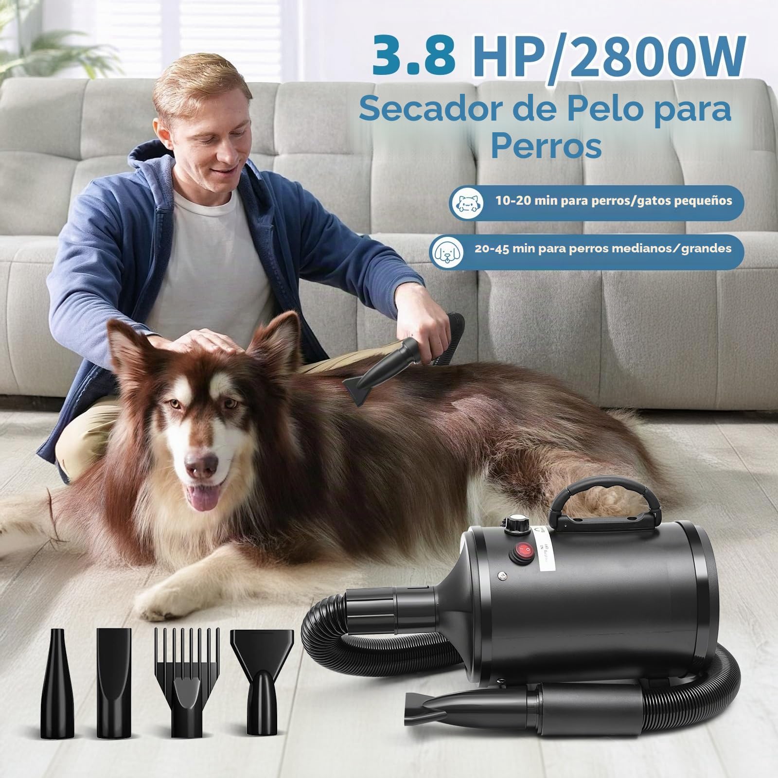 Soplador para Perros, secador de Pelo para Perros de 2800 W, secador de Pelo para Perros de Velocidad y Temperatura Regulables, Menos Ruido secador para Perros