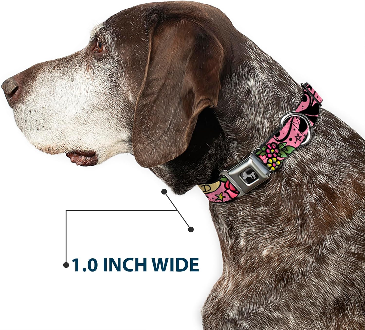 Dog Collar Seatbelt Buckle Mom Dad Pink 9 to 15 Inches 1.0 Inch Wide (DC-W31317-S)