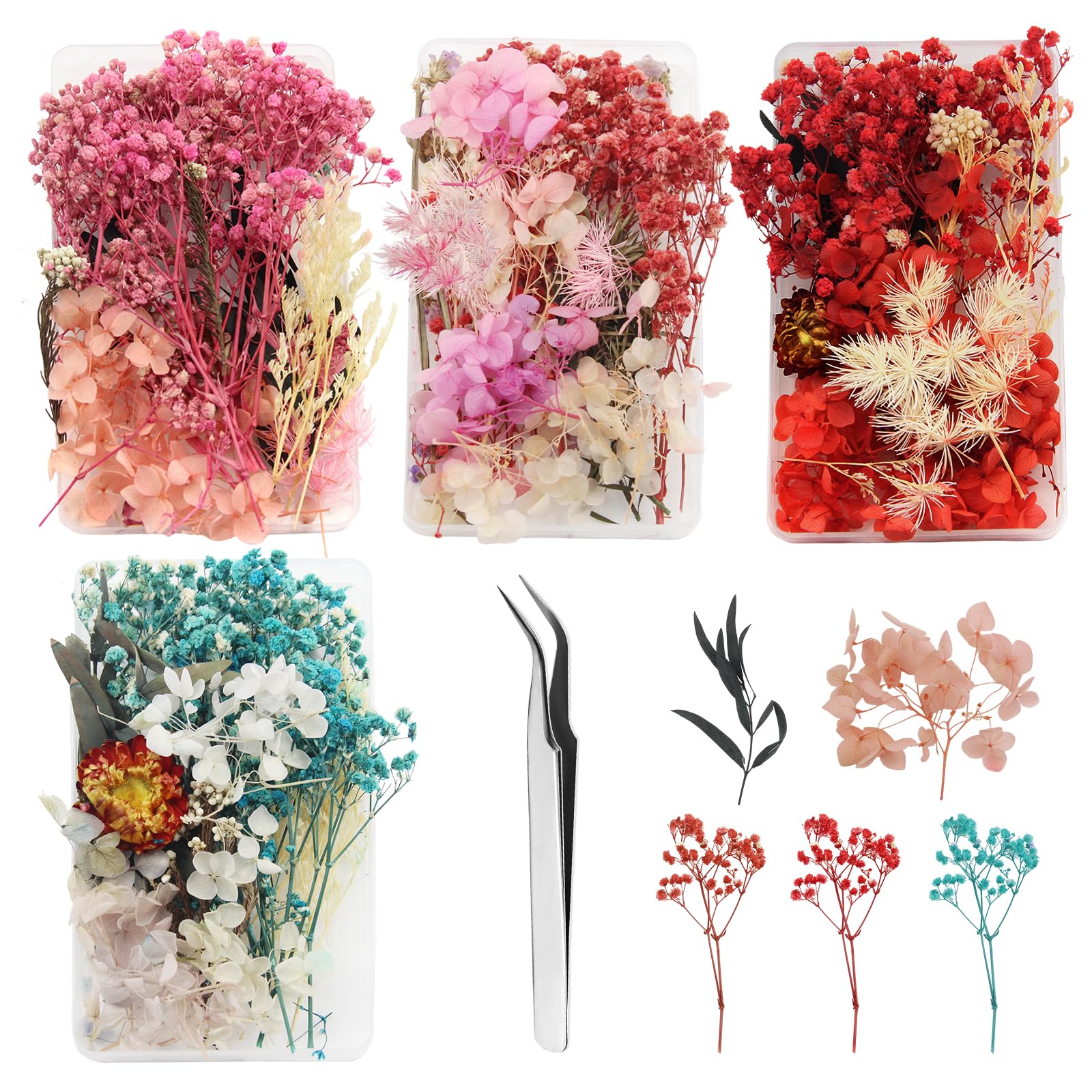 Colexy Fiori Secchi Naturali, Fiori Secchi Decorativi Foglia di Fiore Pressata Fai Da Te Floreale Naturale per Gioielli Resina Epossidica Scrapbooking Decorazione Candela Nail Art Crafts (Blu