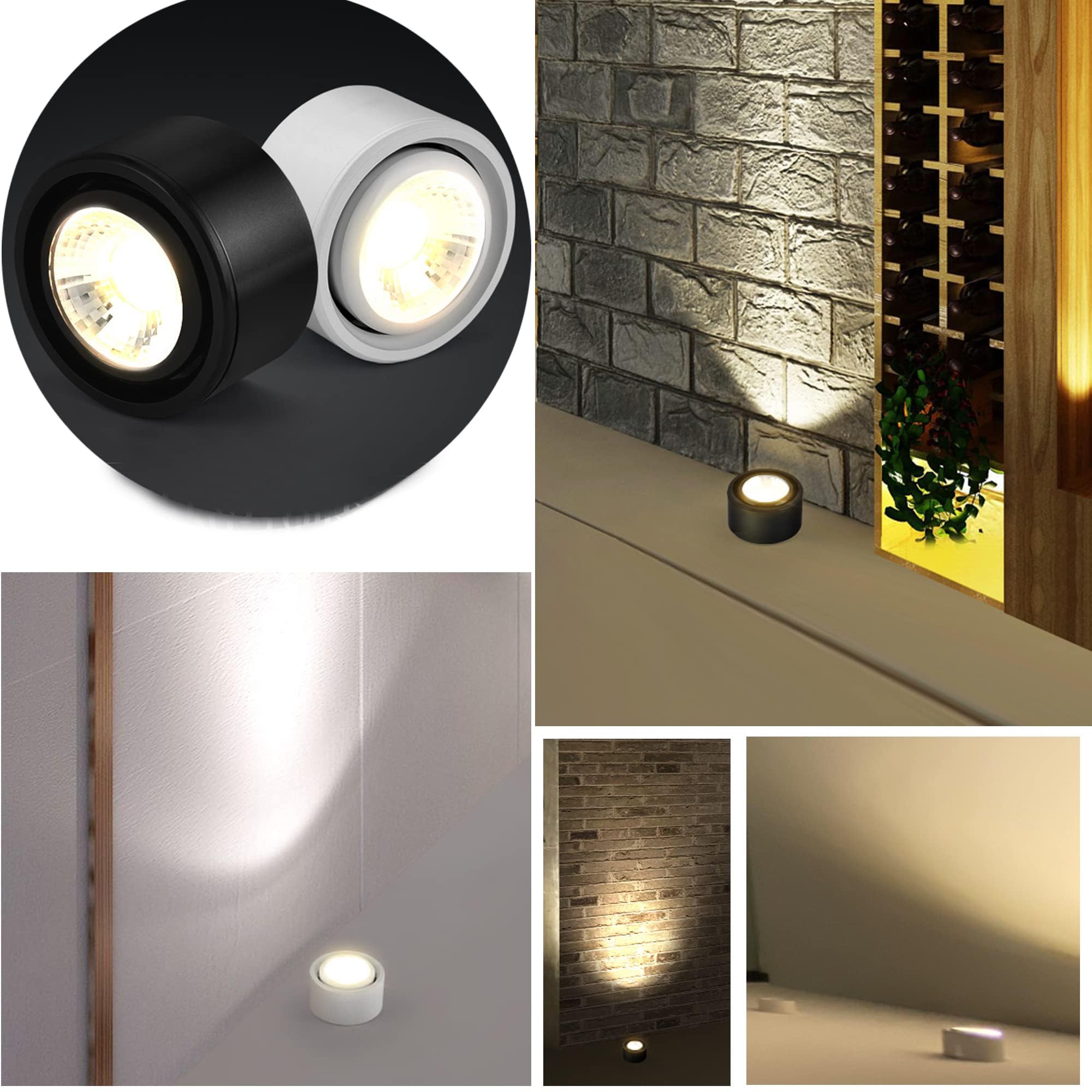 7W Spot Lampe LED Dimmbar,Weiß Wandstrahler mit 1,8 m Schalterkabel und Fernbedienung,1 Packung LED Pflanzenstrahler, Drehbar Licht Kopf für Pflanzen Gemälde Dartscheibe Schrank BD2334