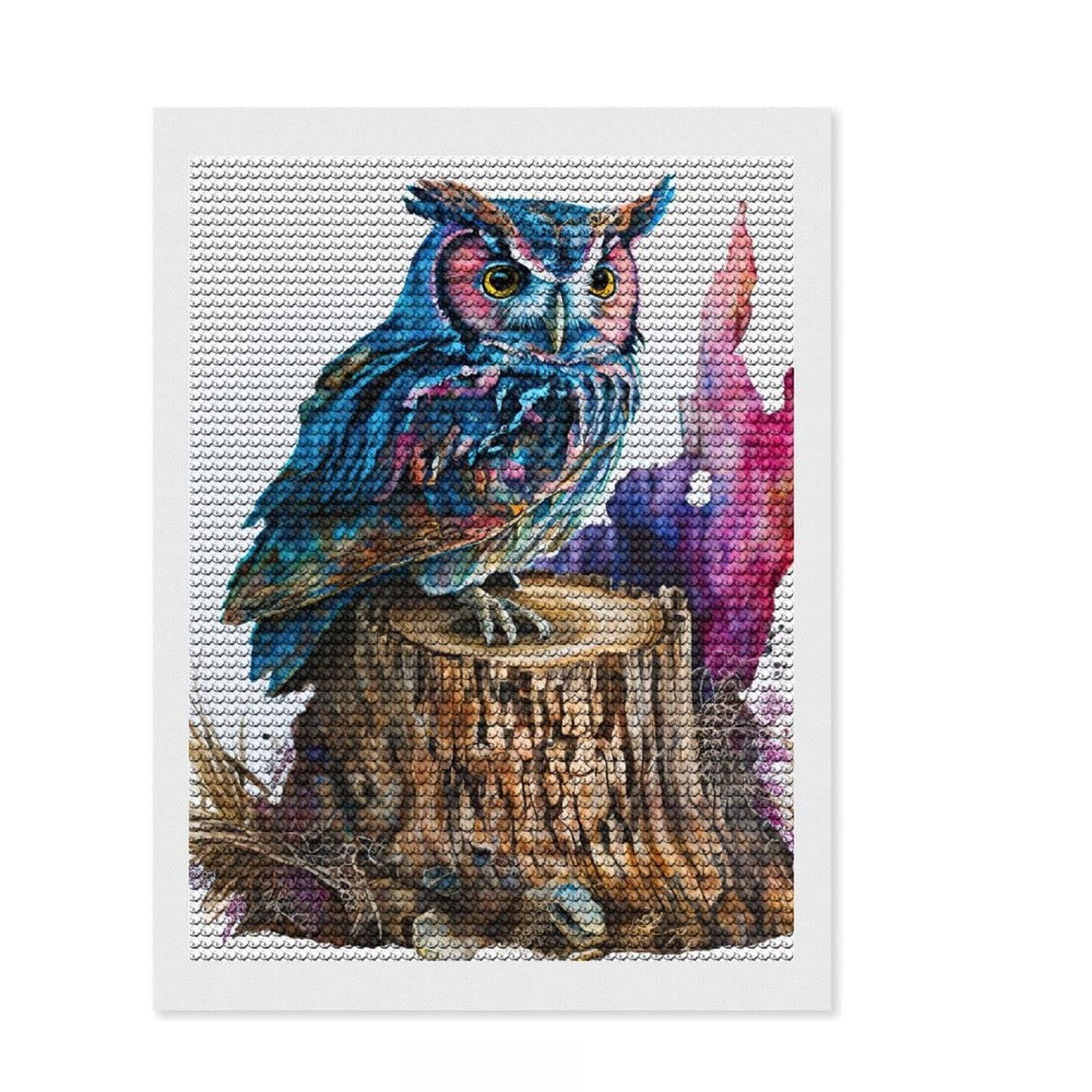 Junmoney Owl Watercolor Diamond Art Kit 12"x16", Satisfying Creative Project, Printed Canvas, Home Wall Decor, Birthday Gift, with Tool Kit