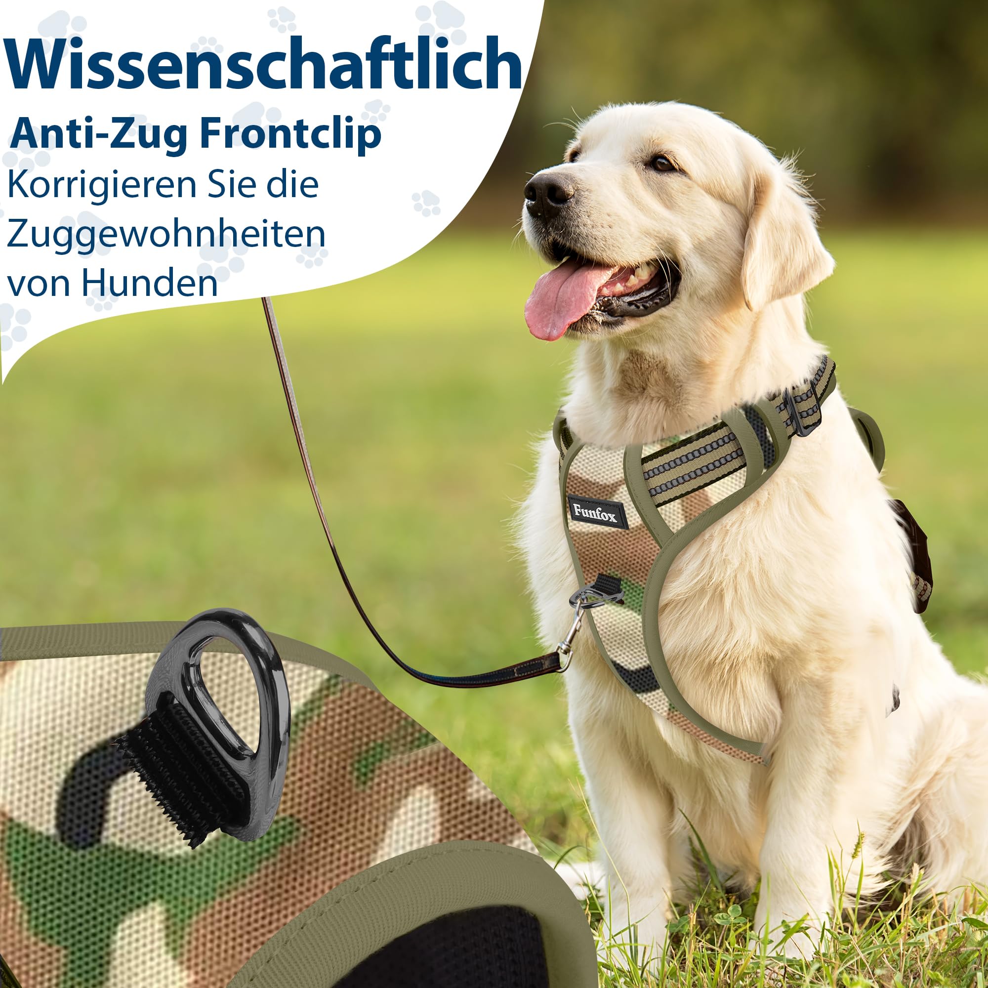 Funfox Dog Harness Small, No Pull Puppy Harness with Vertical Handle, 2 Leash Clips, Reflective Strips Night Walking - Image 3