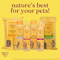 Vista 11 de Burt's Bees for Pets Champú en aerosol sin agua para perros, manzana y miel, champú seco sin enjuague para todos los perros y cachorros, pH