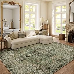 6x9 Area Rugs for Living Room: Washable Bedroom Rug Boho Vintage Rugs Stain Resistant Non Slip Low Pile Soft Lightweight Carpet for Kitchen Dining Room Farmhouse Nursery Kids Room