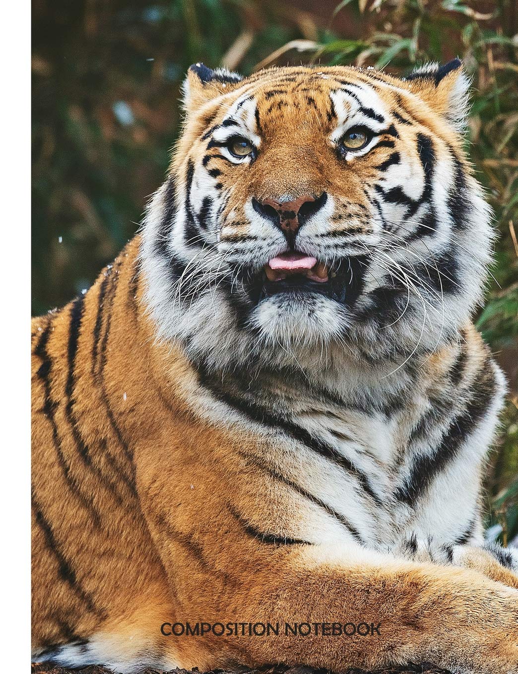 Composition Notebook: Bengal Tiger Wide Ruled Journal