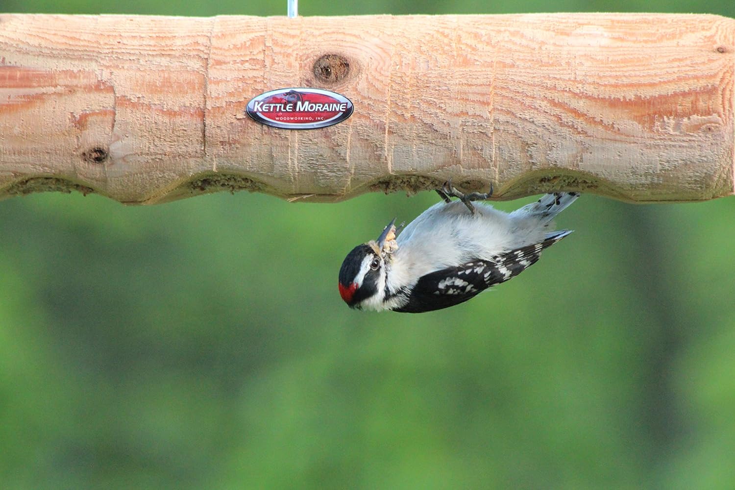 Kettle Moraine Cedar Upside Down Clinger Suet Plug Log Feeder