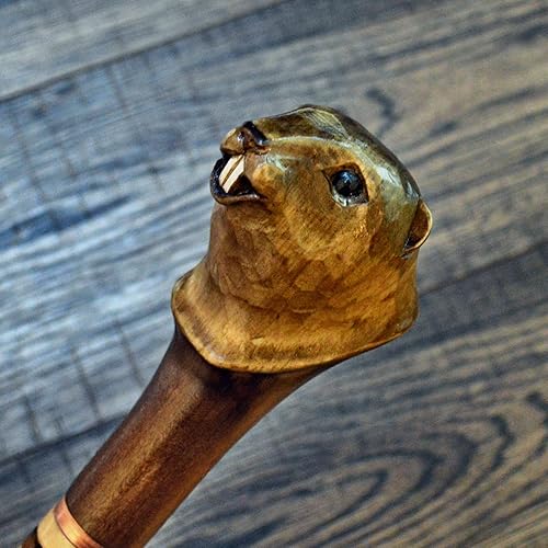 Bastones para caminar Cañas de madera Tallado a mano de madera tallado a mano bastón Accesorios