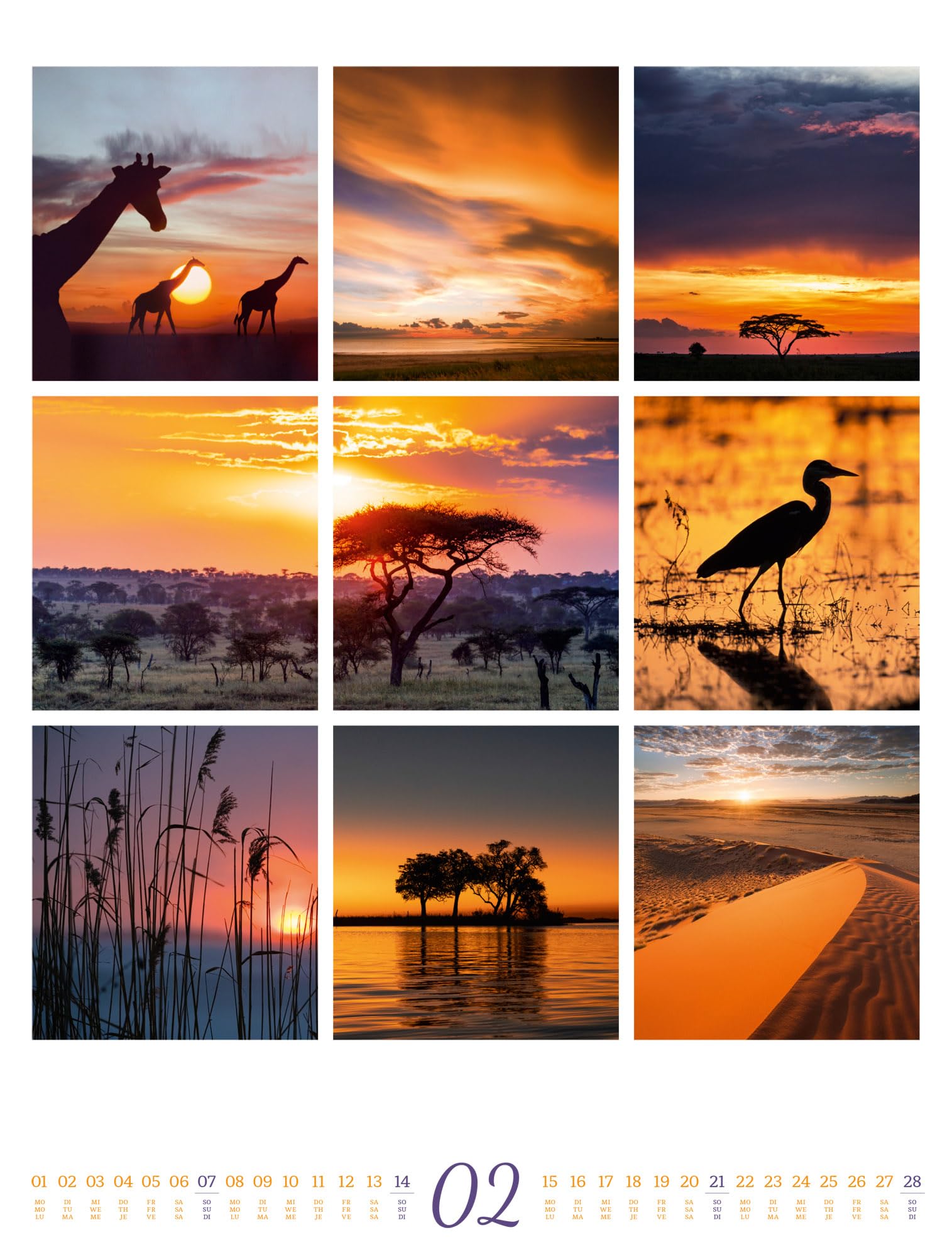 Inspiration Natur Kalender 2027: Vielfältiger Natur-Kalender im großen Hochformat (50x66 cm) | Mehrteilige Bildmosaike im Triplet-Stil