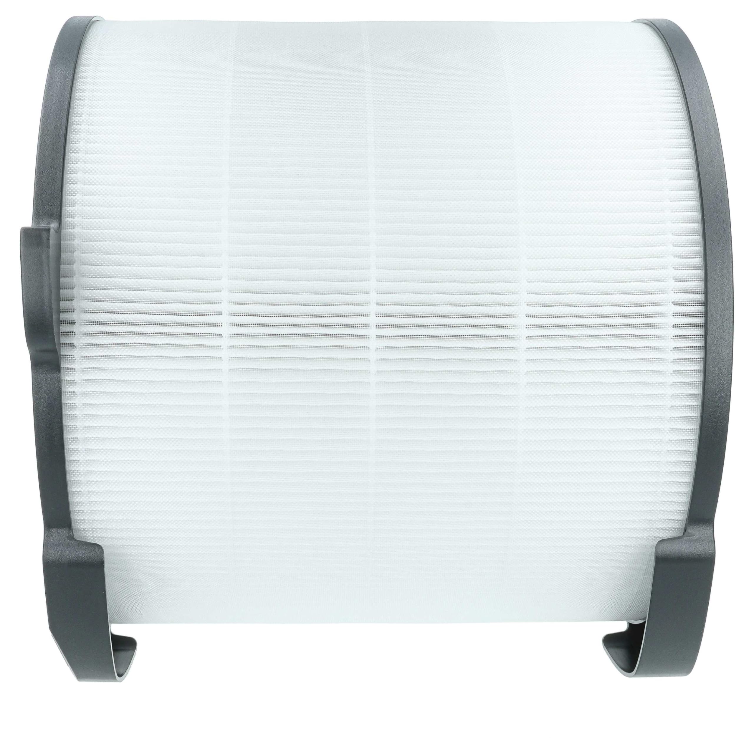vhbw filtro de aire reemplaza AEG AFDCAR4