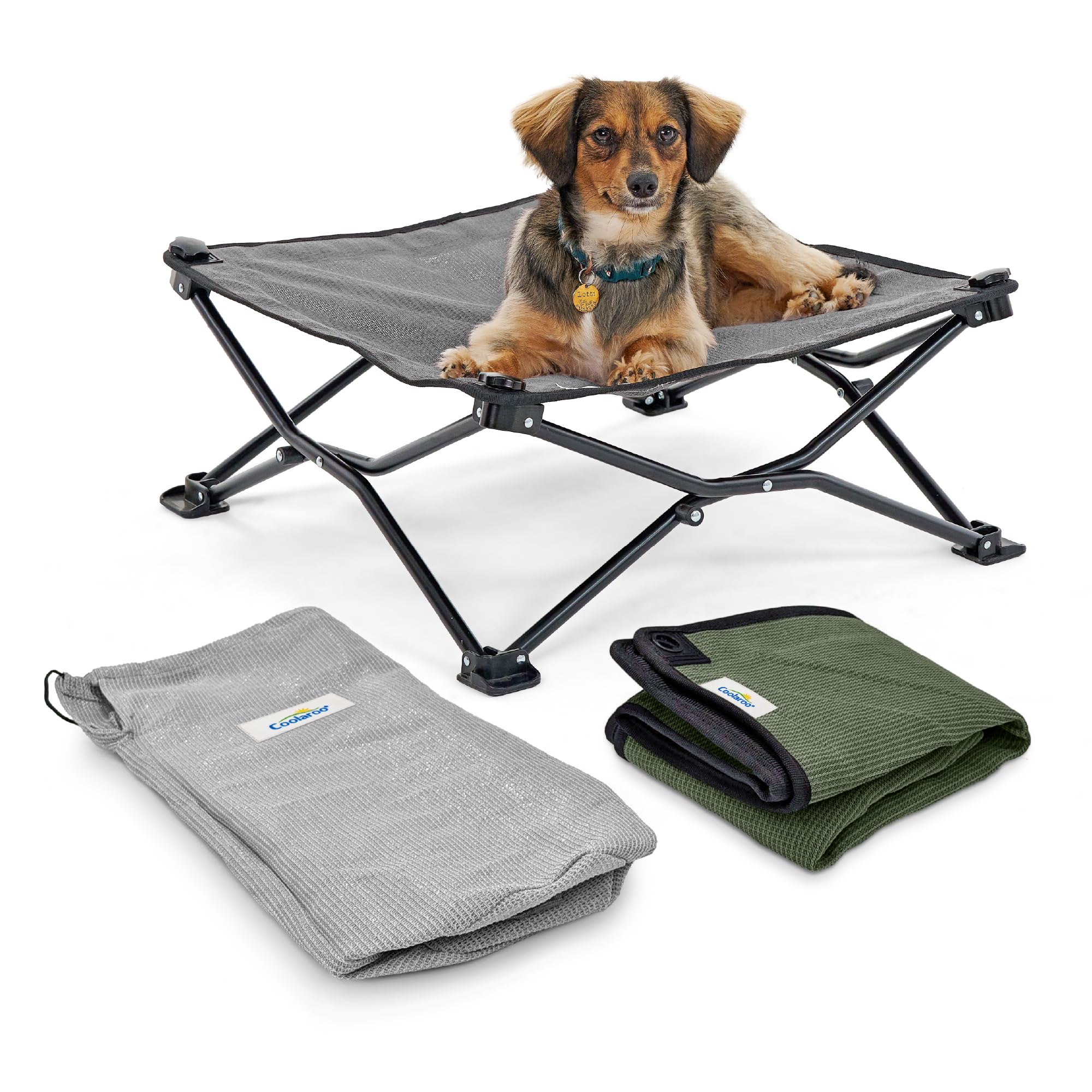 Coolaroo On-The-Go Elevated Dog Bed Kit – Portable & Cooling Travel Cot with HeatShield Fabric for Small Dogs, Lightweight & Compact, Includes