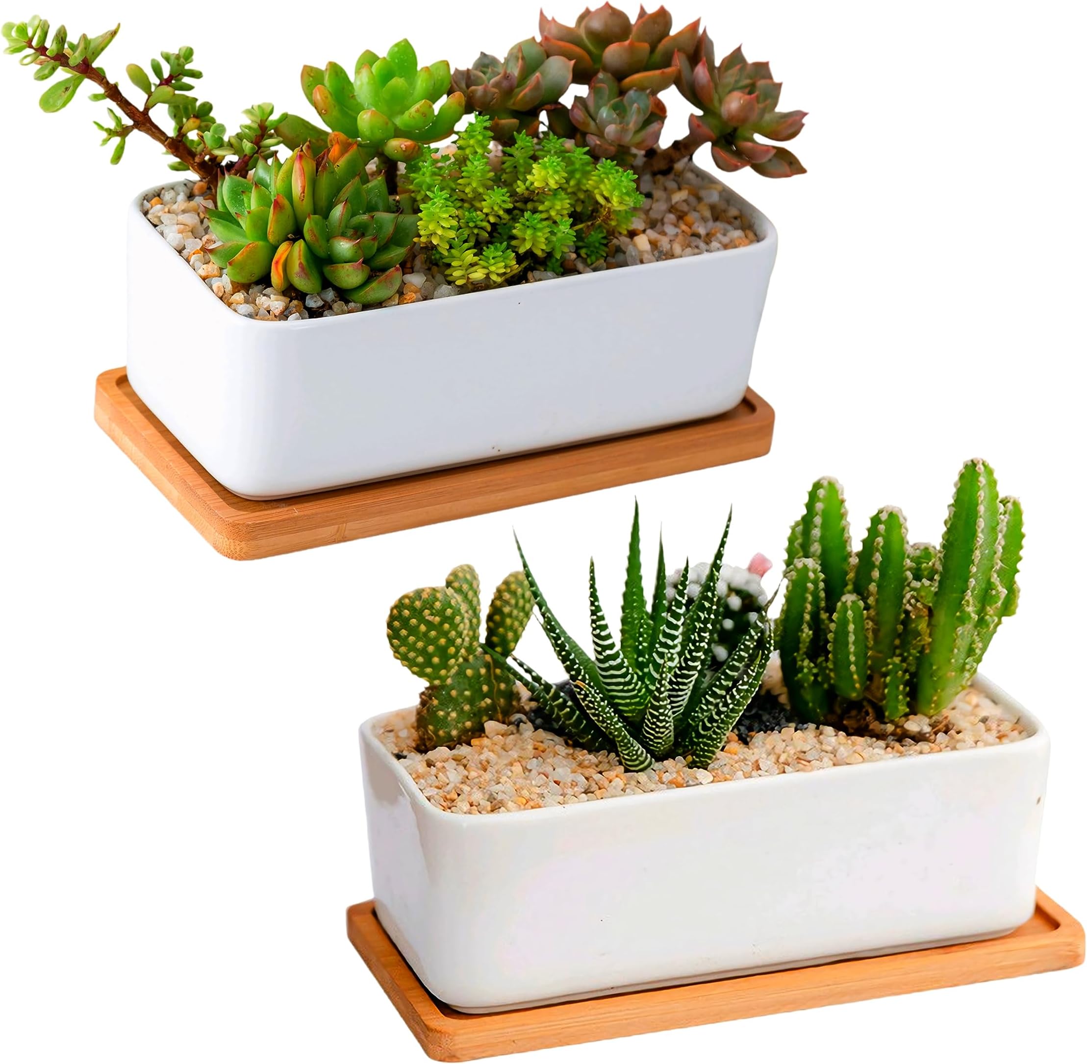 Succulent Pots,6.5 Inch White Ceramic Flower Planter with Bamboo Tray,Pack of 2 - Plants Not Included (White Rectangular)