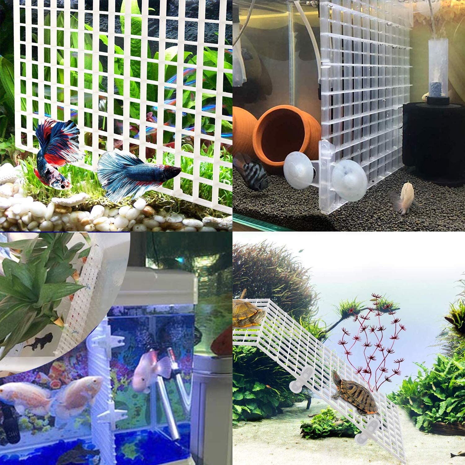 Buy Demason 5 Pack Fish Tank Grid Divider, Aquarium Plastic Isolation