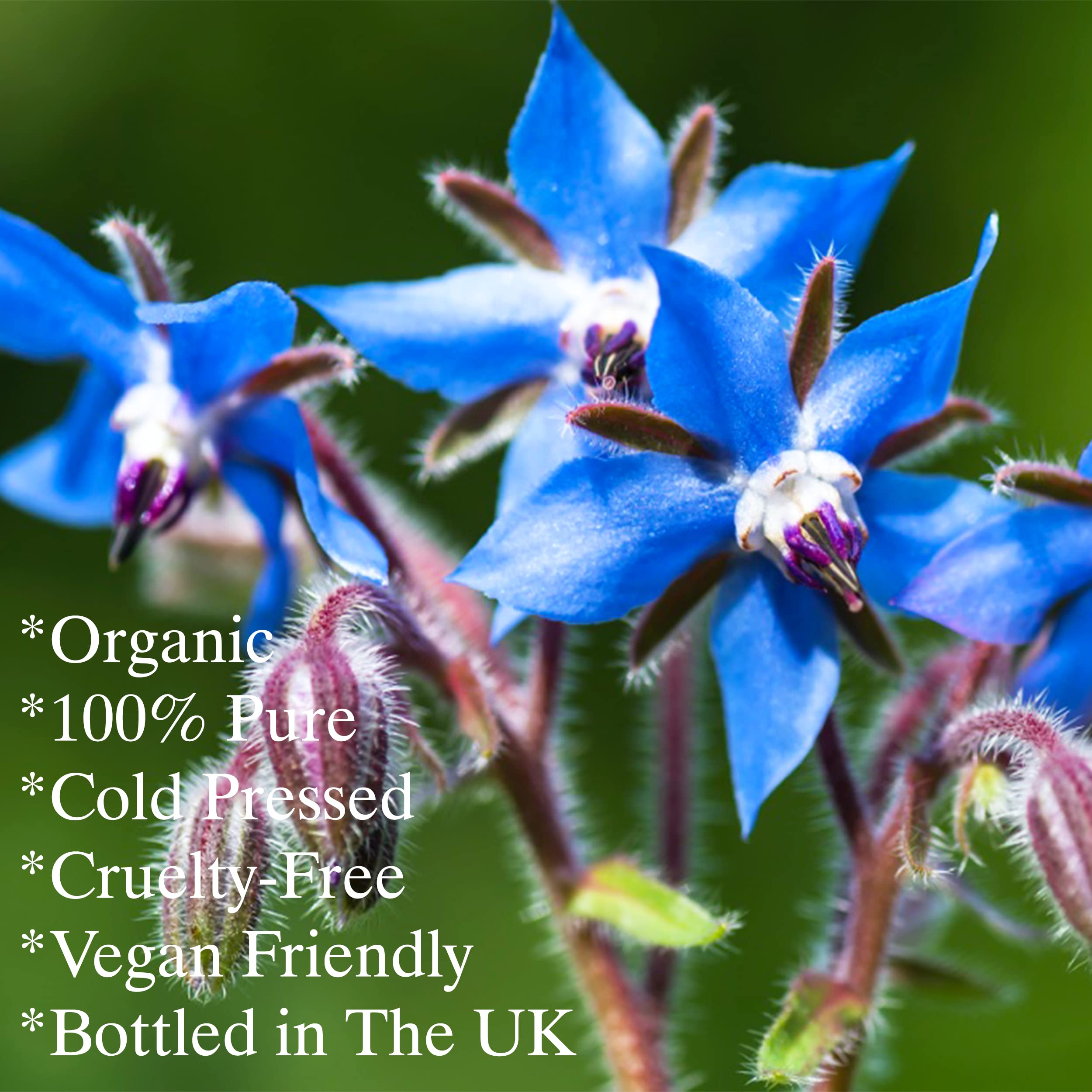 Feelia - Olio di borragine organico - spremuto a freddo, ricco di Omega 6, ottimo per le infiammazioni, 100% puro e biologico