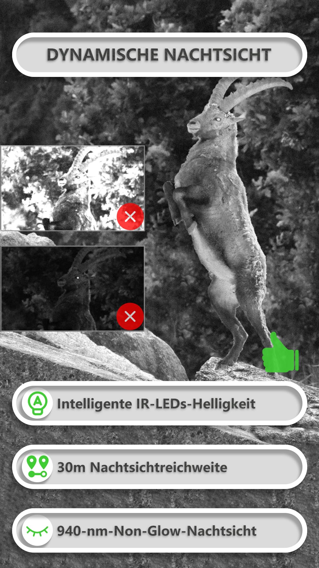 GardePro E8P Max Wildkamera WLAN 8000mAh Akku 64MP 1296P Nachtsicht Bewegungsmelder