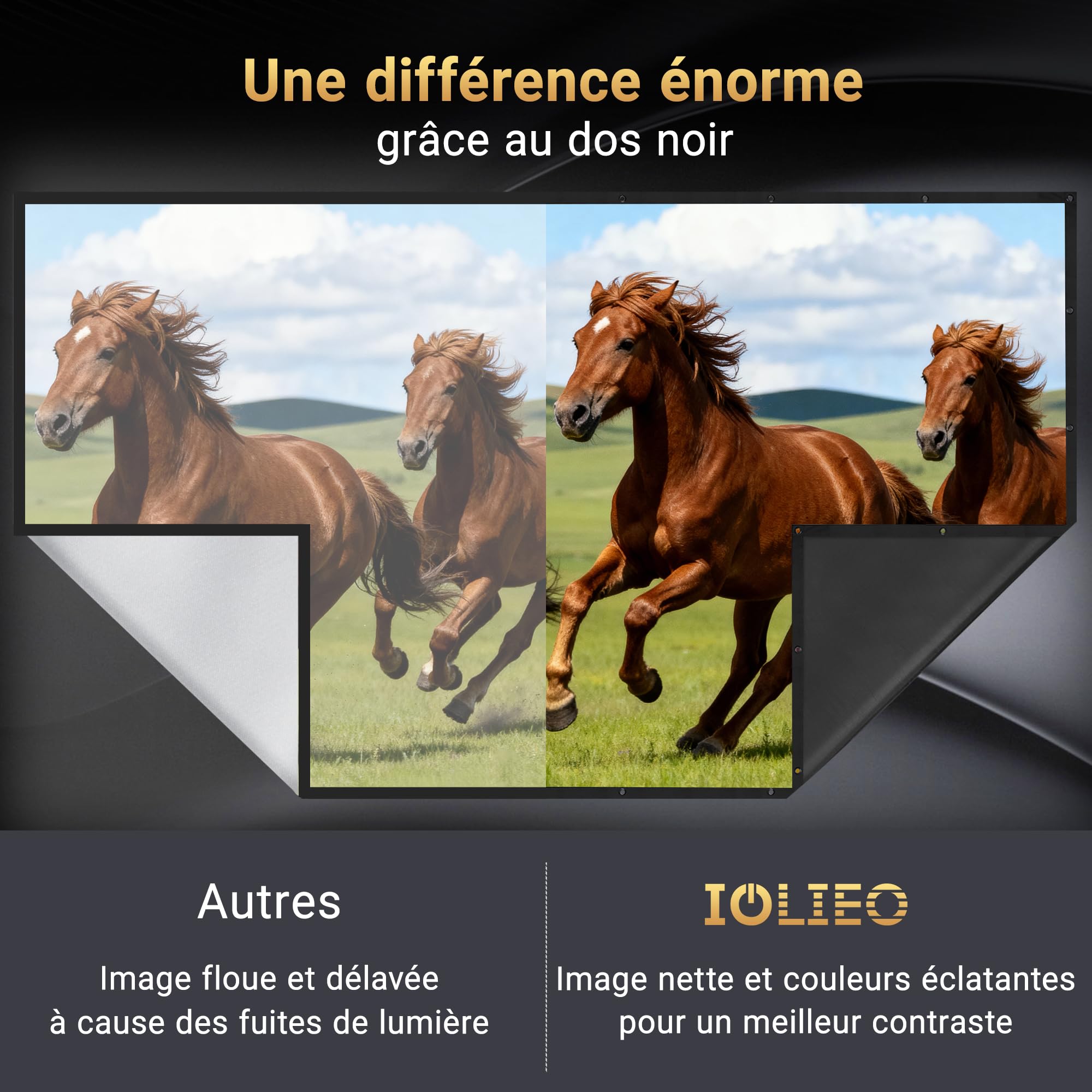 IOLIEO Écran de Projection 100 Pouces 16:9 Dos Noir Pliable Lavable Anti-Pli