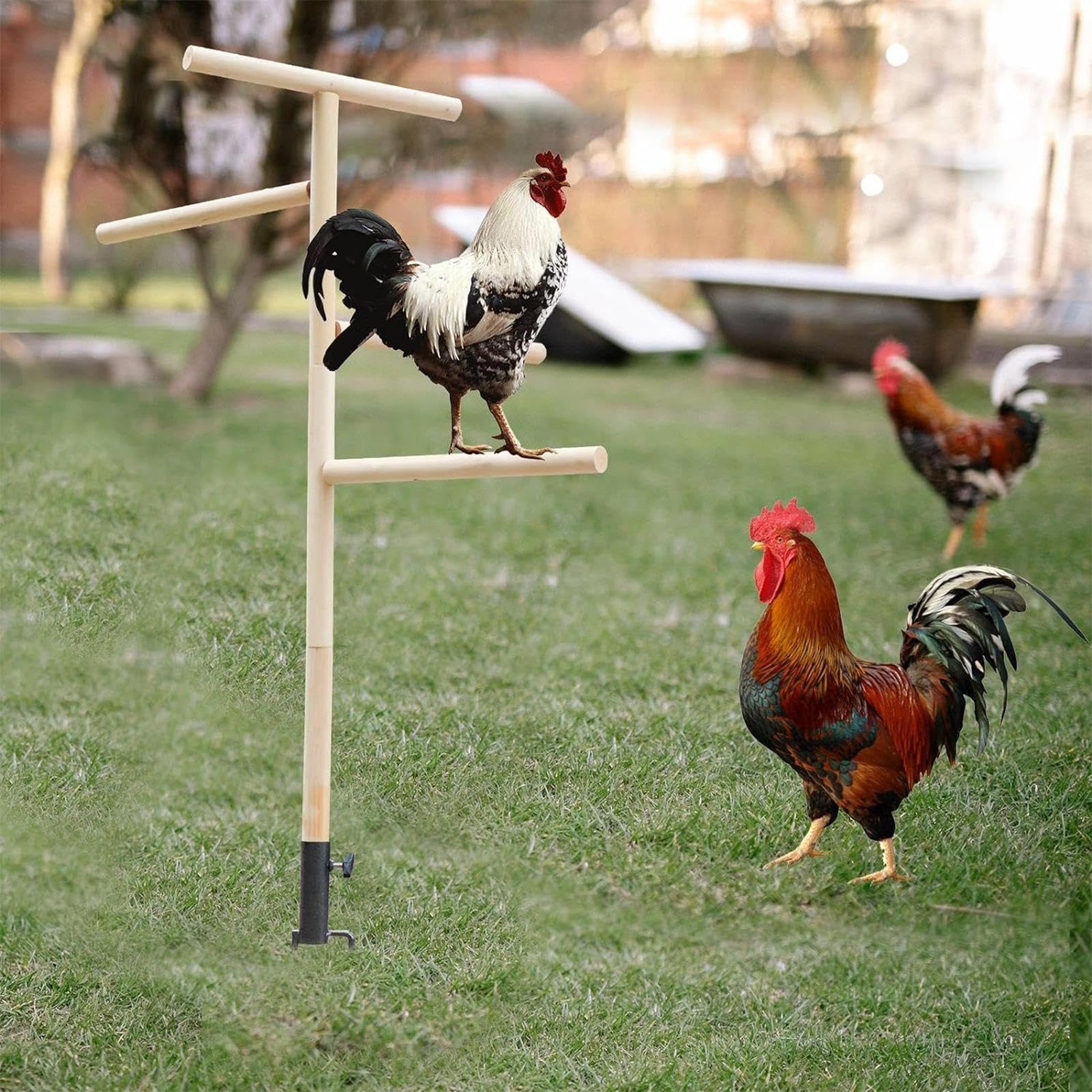 grande para perca para pollos - Perca para aves de corral, Soporte de perca para pollos al aire libre de hierro | Juguetes de enriquecimiento de pollos Rama de entrenamiento | Parque infantil, juguetes de enriquecimiento para pollos, percha e