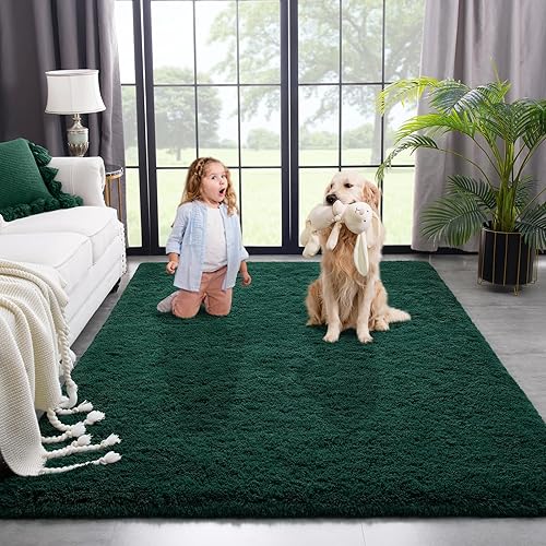 Kimicole Alfombra de área para dormitorio, sala de estar, decoración del hogar, alfombra mullida mejorada de 6 x 9 pies para apartamento,
