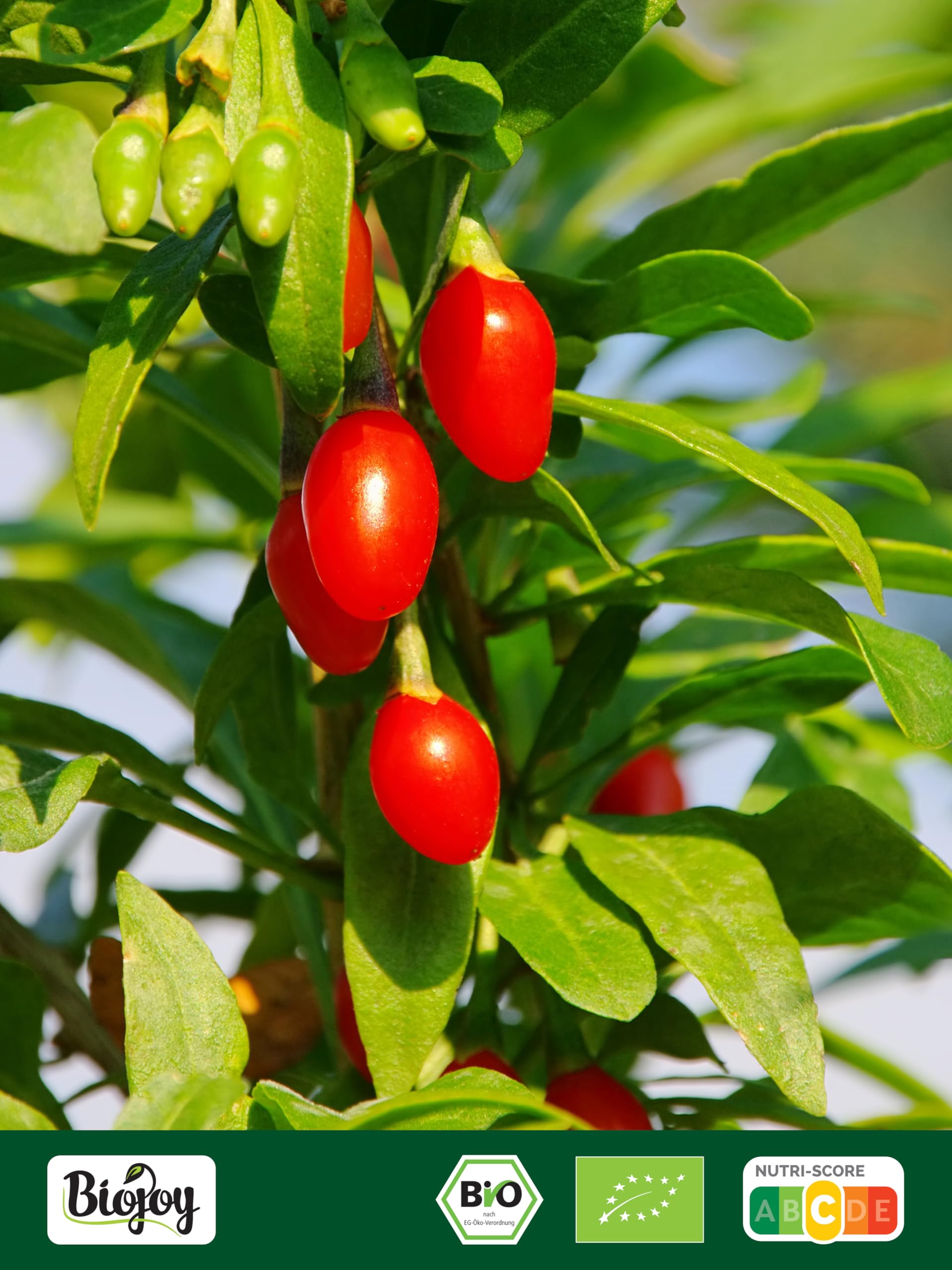 Biojoy Bayas de Goji deshidratadas Ecológicas (1 kg), sin azúcares añadidos y sin azufre