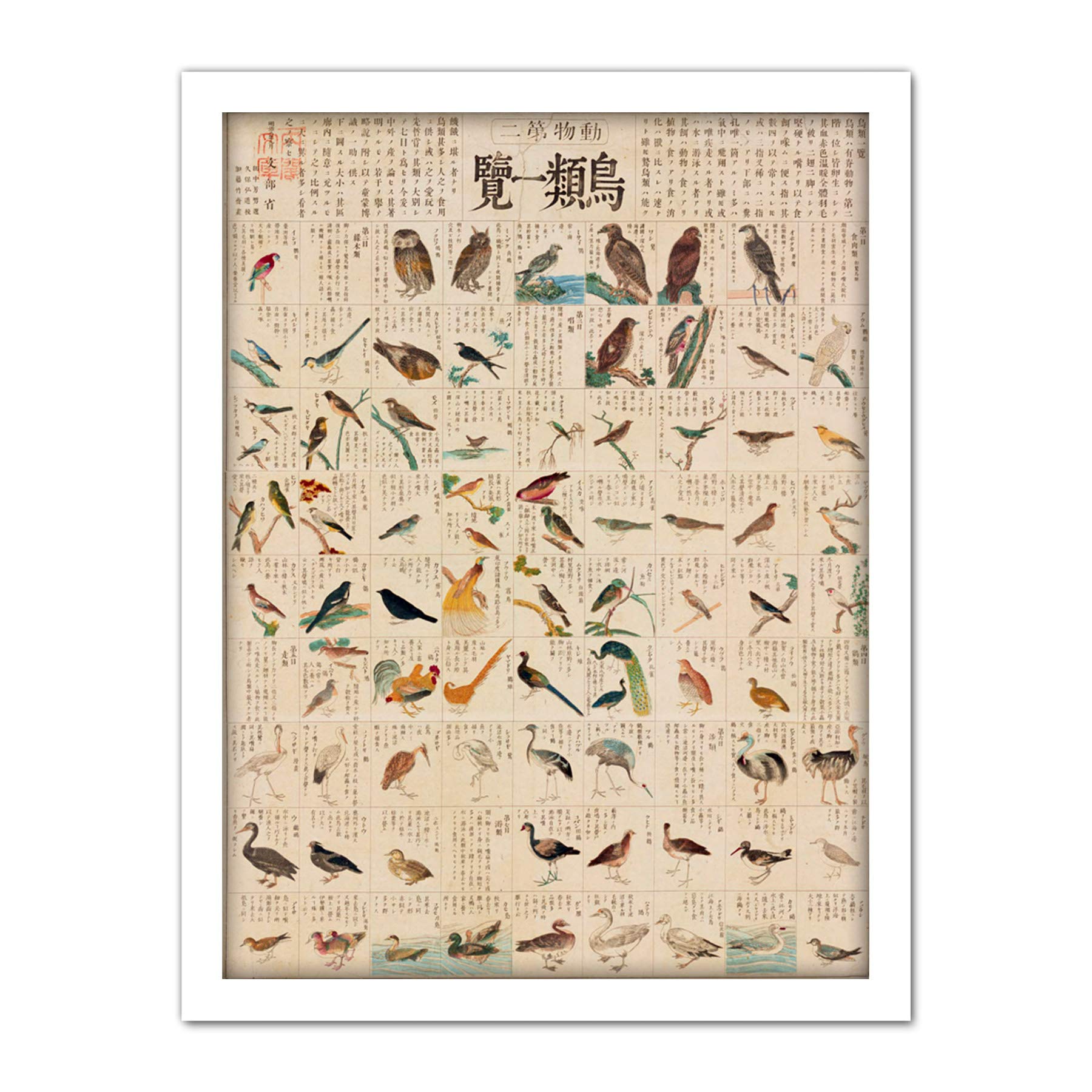 Artery8 Kato Chikusai Species of Birds Japanese Artwork Framed Wall Art Print 18X24 Inch