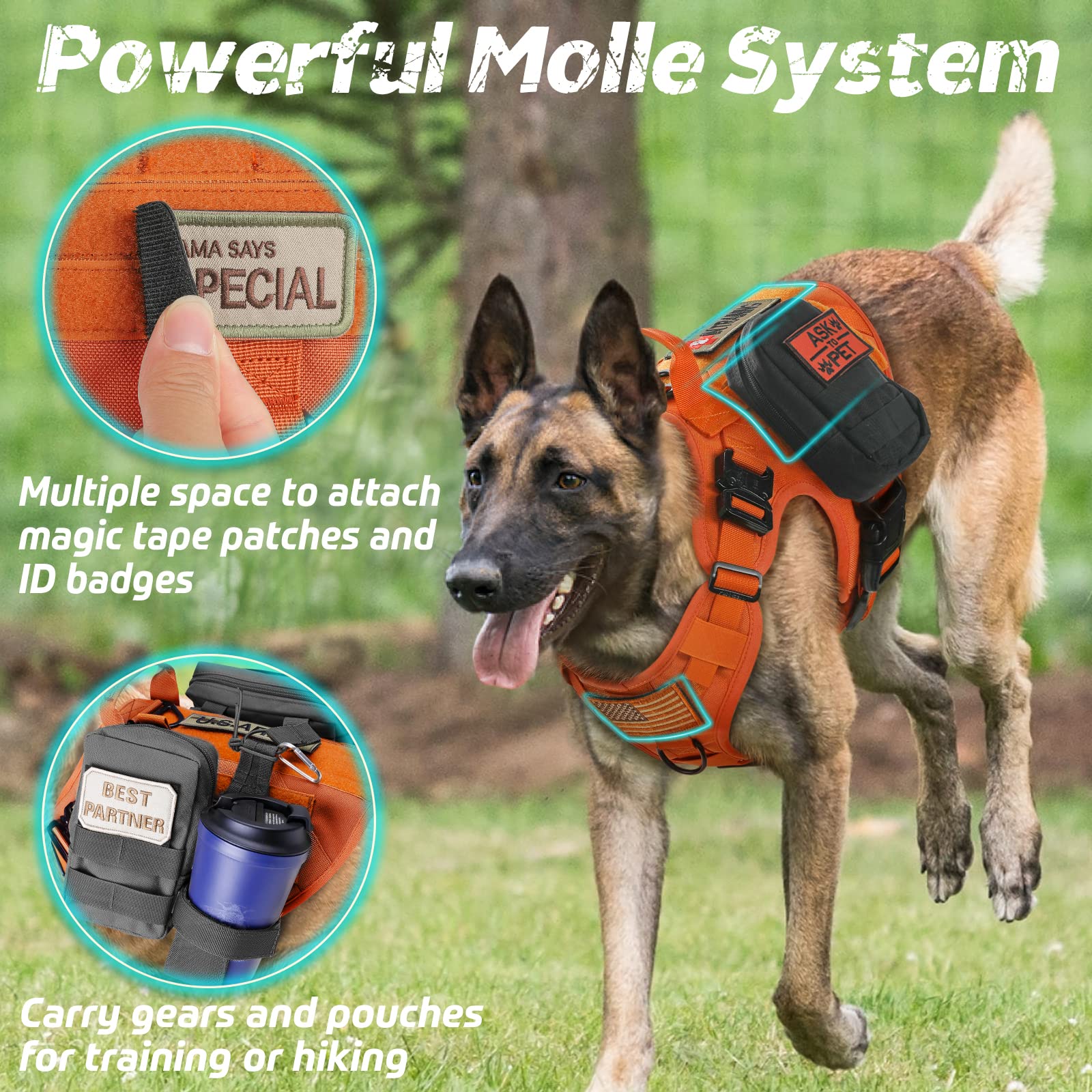 rabbitgoo Tactical Dog Harness for Large Dogs, Military Dog Harness with Handle, No-Pull Service Dog Vest with Molle & Loop Panels, Adjustable Dog Vest Harness for Training Hunting Walking, Orange, L