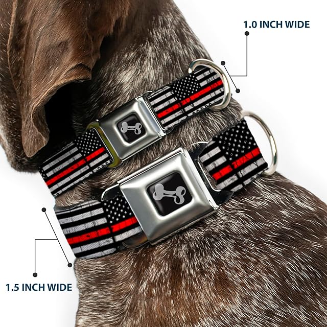 Foto 2 de 8 de Buckle-Down Collar de Perro con Hebilla para cinturón de Seguridad, Bandera de línea roja Fina, desgastada