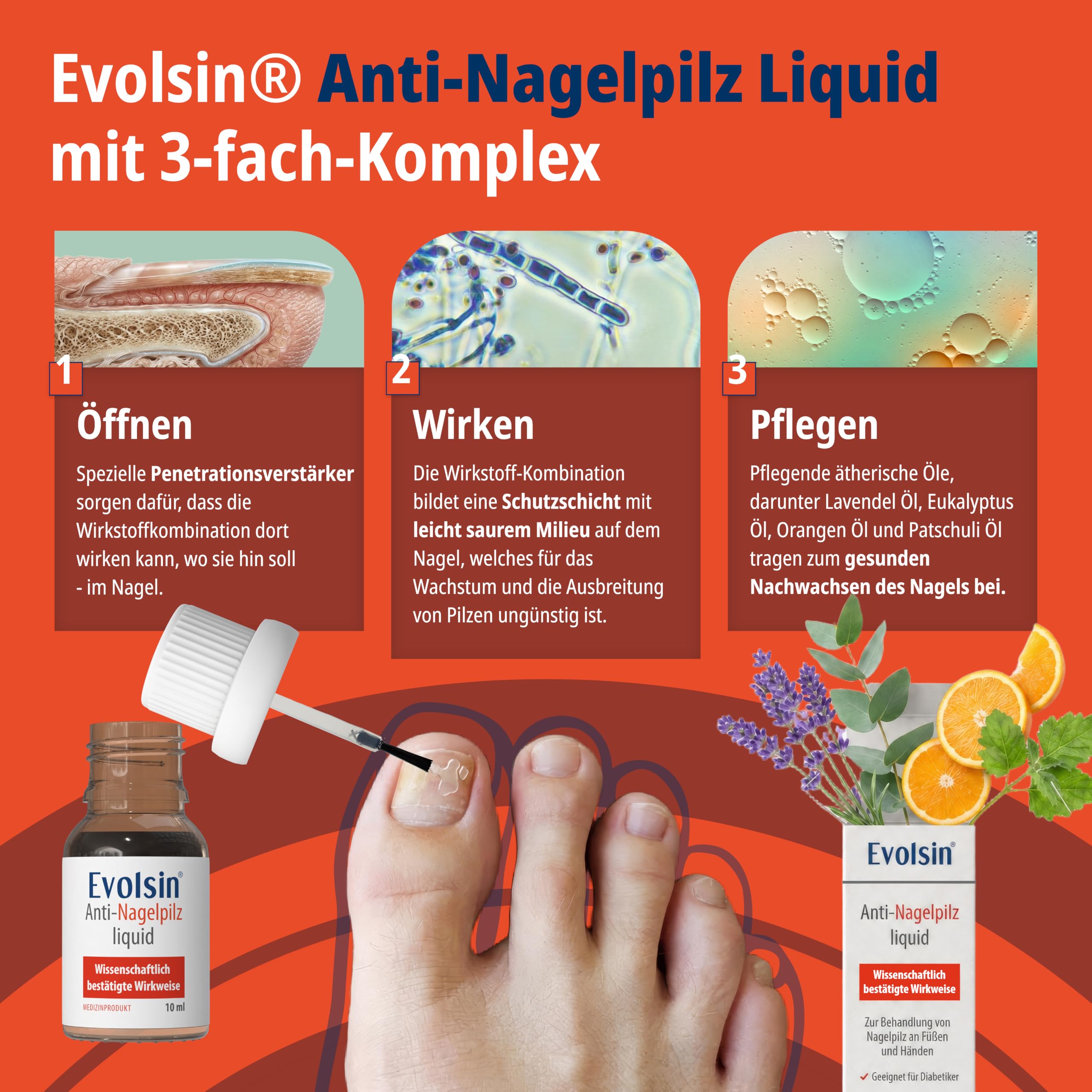 Evolsin® Anti Nagelpilz Liquid Doppelpack - Wissenschaftlich bestätigte Wirkweise I Geeignet für Diabetiker I Medizinprodukt I Nagelpilz Nagellack für Füsse und Hände I Nagelhärter (2x10ml)