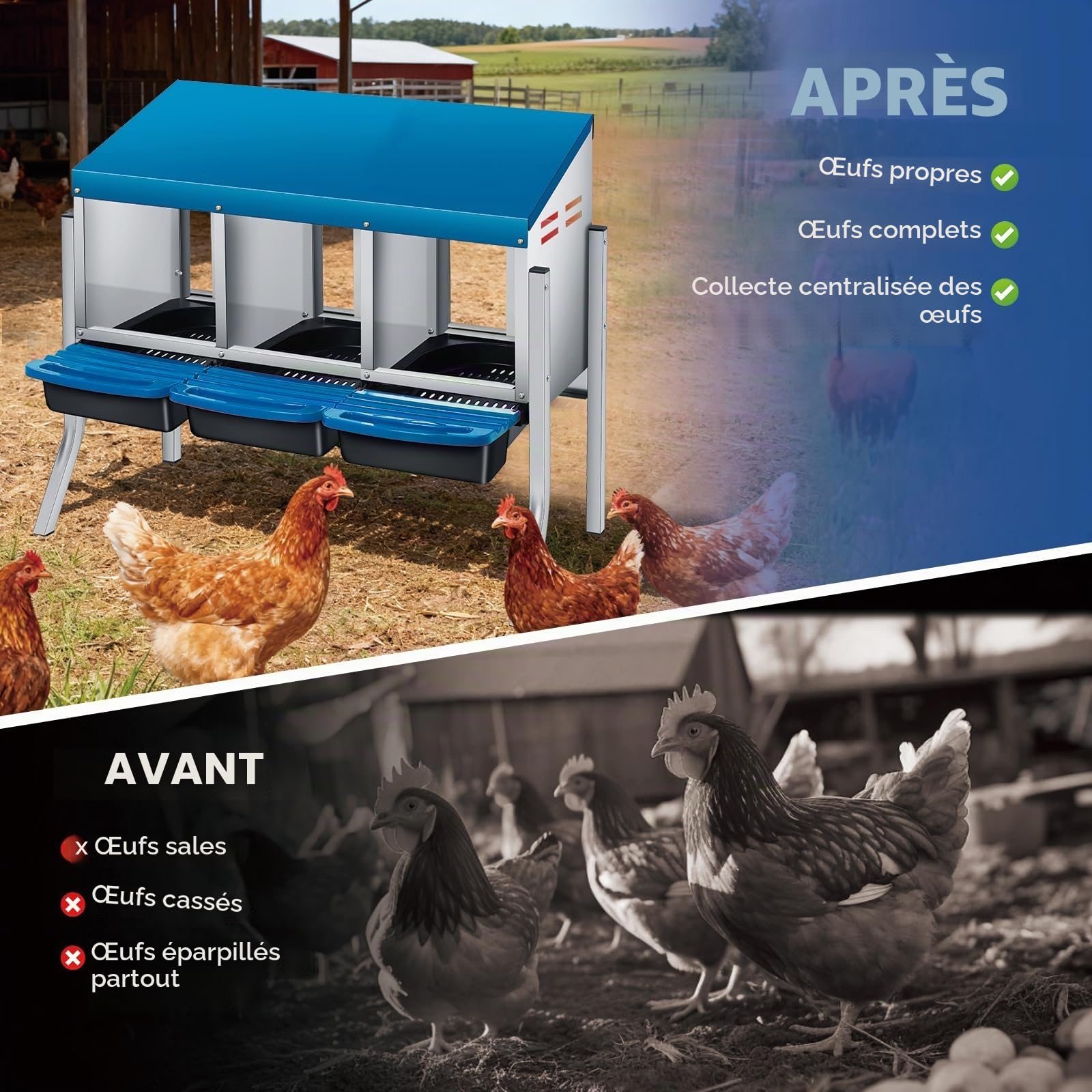 Pondoir pour poules avec pieds 3 compartiments - En métal solide - Avec compartiment à œufs - Nid de poules pour grandes poules - Bleu