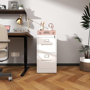Vertical File Cabinet with 2 Drawer & Metal Handle, Office Home Narrow Filing Cabinets with Lock & Key, Heavy Duty Metal Storage Cabinet for A4/Legal/Letter Size, Assembly Required, White