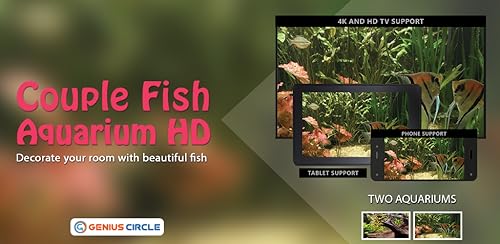 free couple fish aquarium HD - aproveite o romance de peixes em sua TV HDR 4K, TV 8K e dispositivos