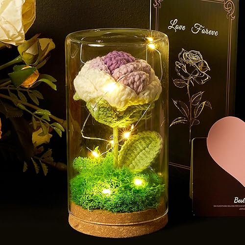 AWARDSEN Purple Crochet Preserved Rose in Glass Dome with LED Light Hand-Knitted