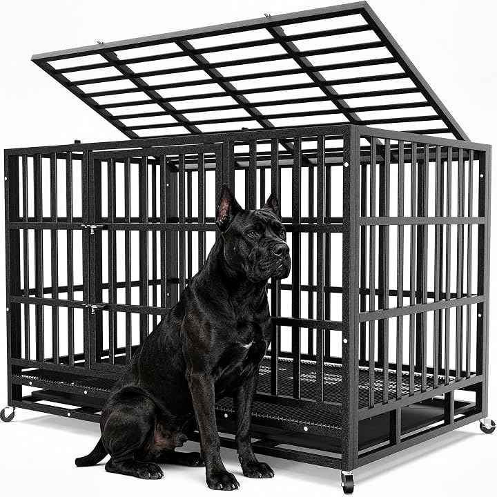 Transparent editorial object representing Lifestyle