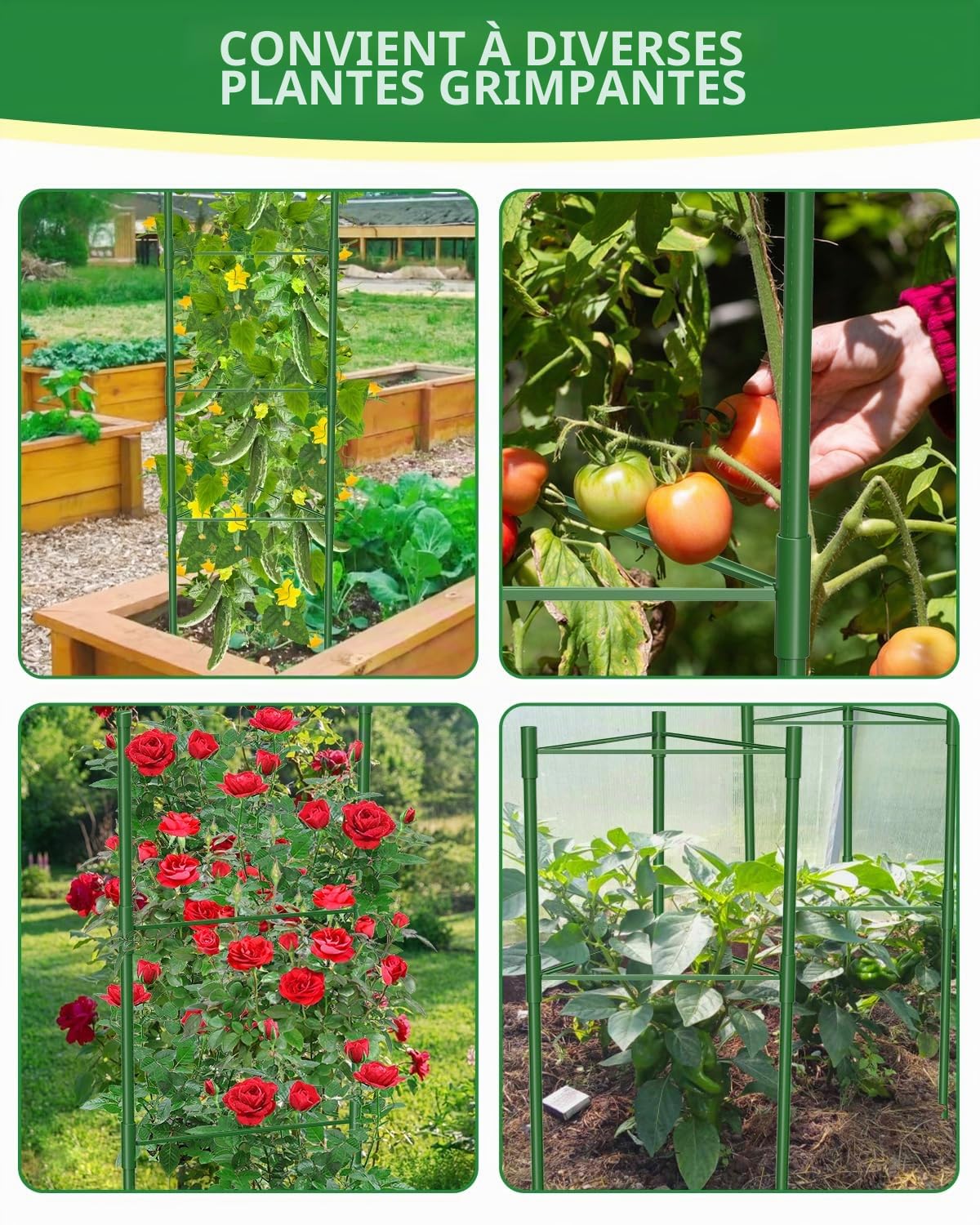 MYMULIKE Lot de 3 Cages à tomates surdimensionnées pour Jardin, Treillis à tomates pour Parterre surélevé, jusqu'à 40 x 130 cm, Support de Plantes de tomates pour Jardin surélevé et légumes grimpants