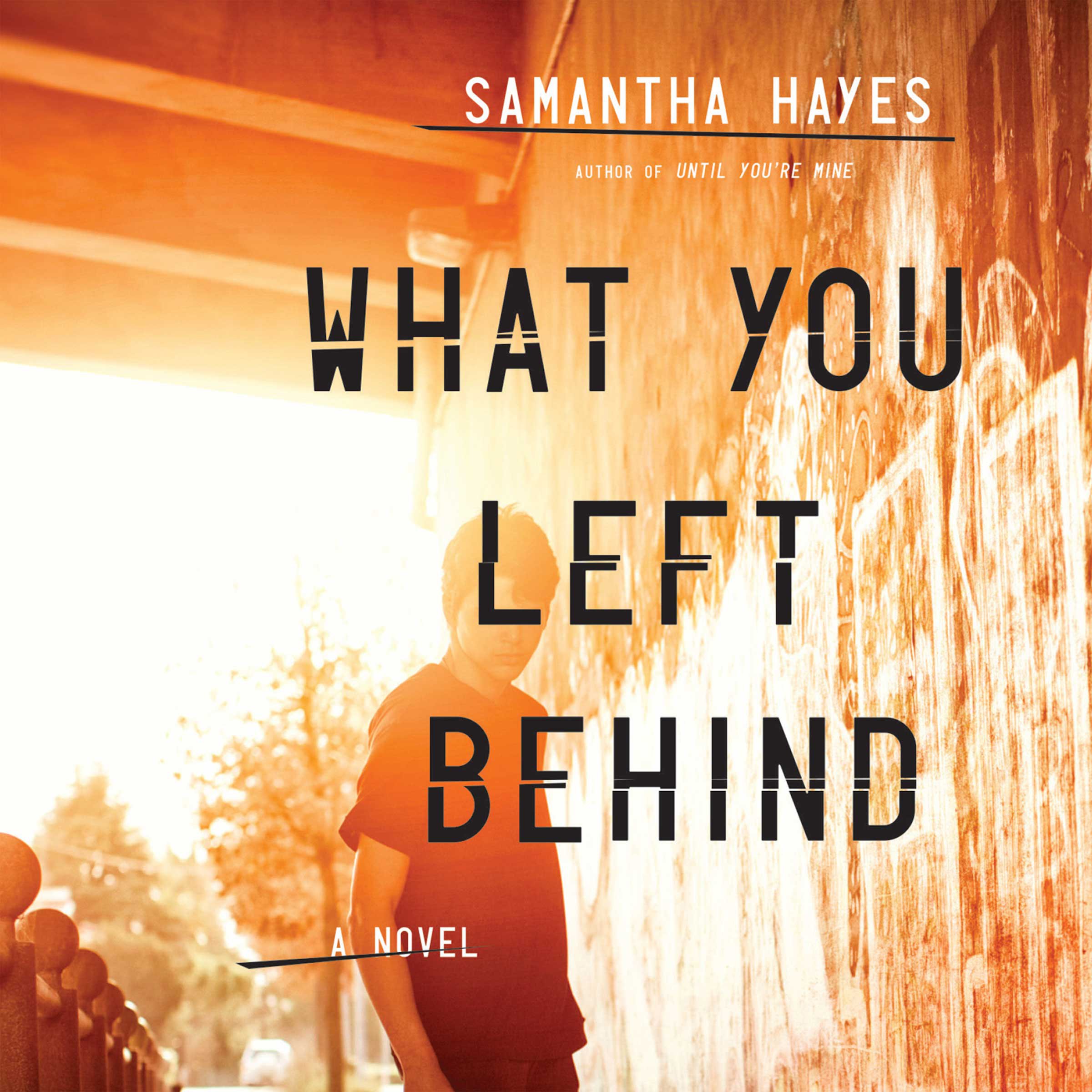 Cover art for What You Left Behind