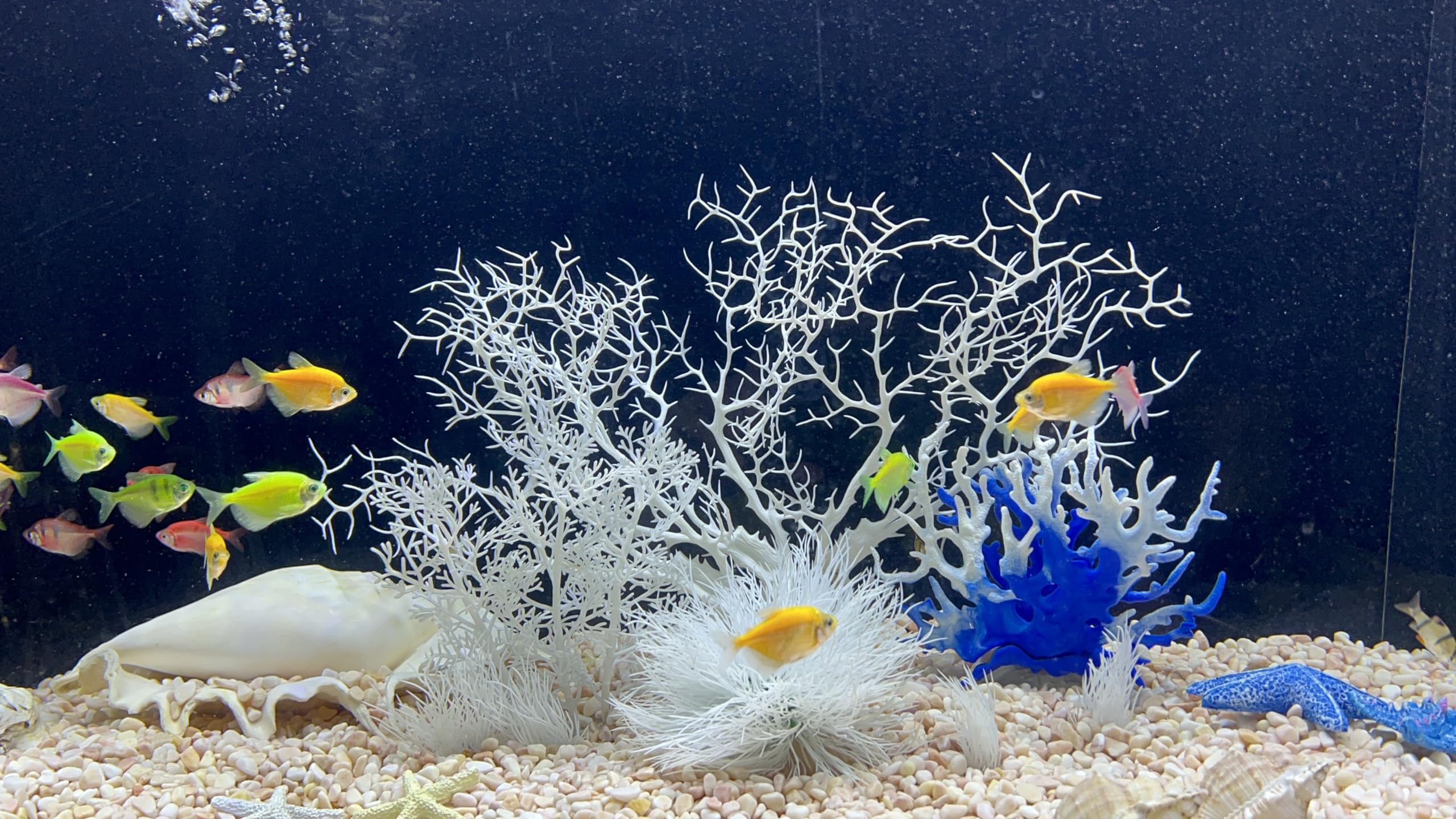 Lot de 8 coraux artificiels blancs pour aquarium - Transformez votre aquarium en un monde sous-marin