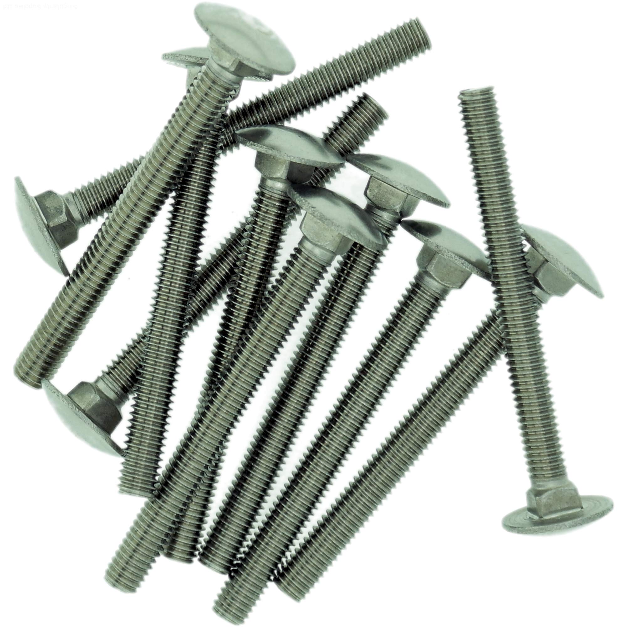 Singularity Supplies M6 (6Mm X 20Mm) Cup Square Carriage Bolt (Fully Threaded) - Stainless Steel (A2) (Pack Of 10)