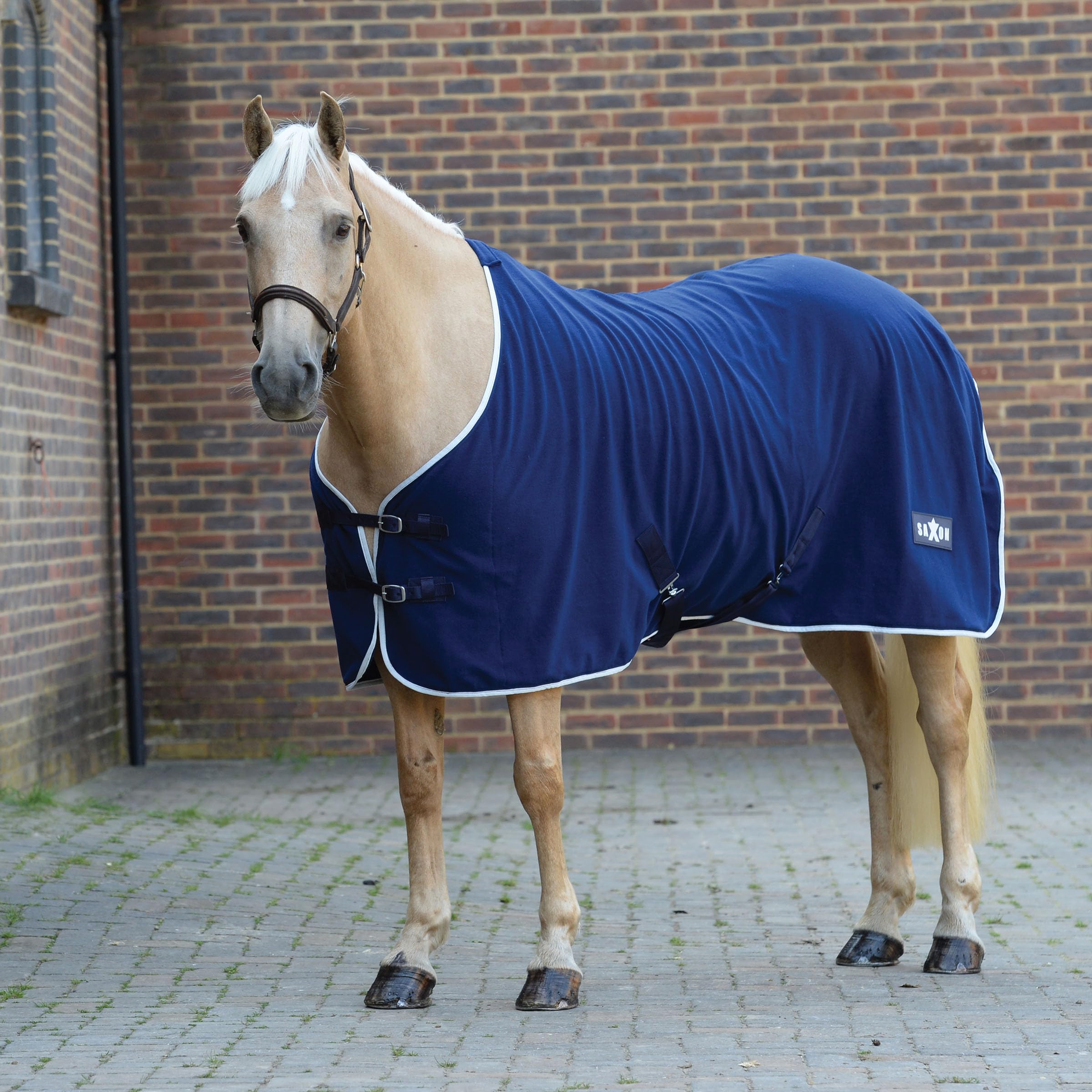 2023 Saxon Trotzen Vlies Standard Hals Pferd Decke 1011728 - Navy/Weiß -