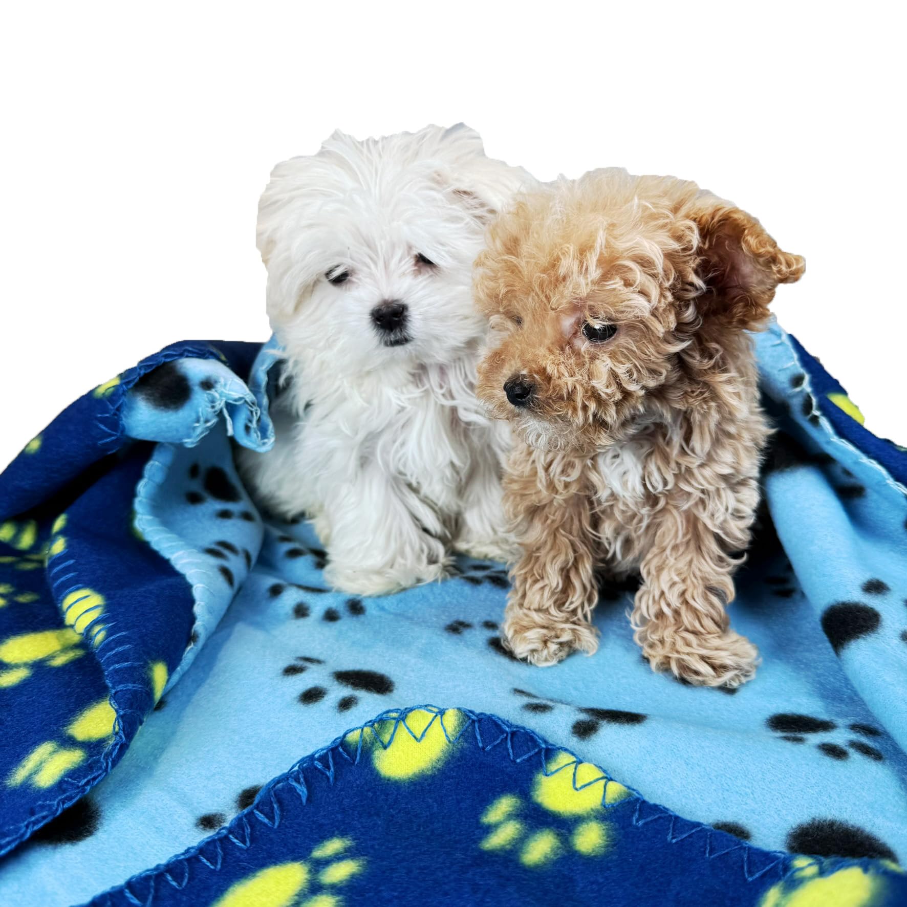 TBK Pets Double-Sided Fleece Pet Blanket, Soft Snuggle Blanket for Dogs and Cats Machine Washable (2 Blue, Light Blue, 28x24/70x60cm)
