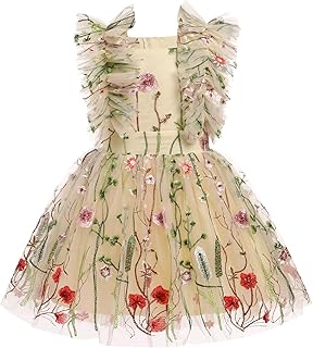 Girls Birthday Party Dress Butterfly Daisy Polka Dots Embroidery Princess Tulle Wedding Pageant Evening Gown - Buy now