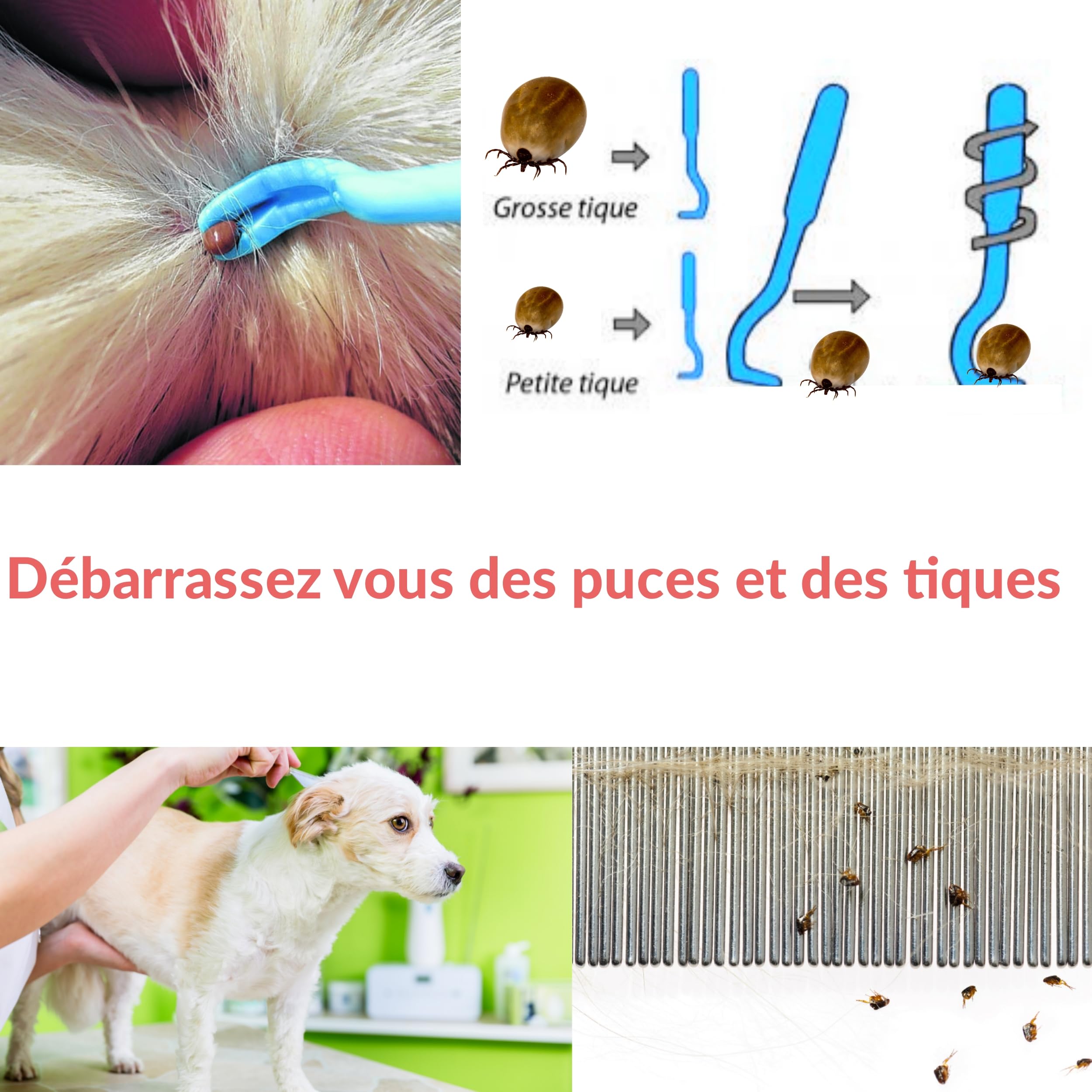 Peigne anti puce et tique pour chien et chat. Kit de crochet et tire tiques pour enlever et éliminer puces et poux des animaux de compagnie. Outil de toilettage. Elimination naturelle Lot de 5 pcs