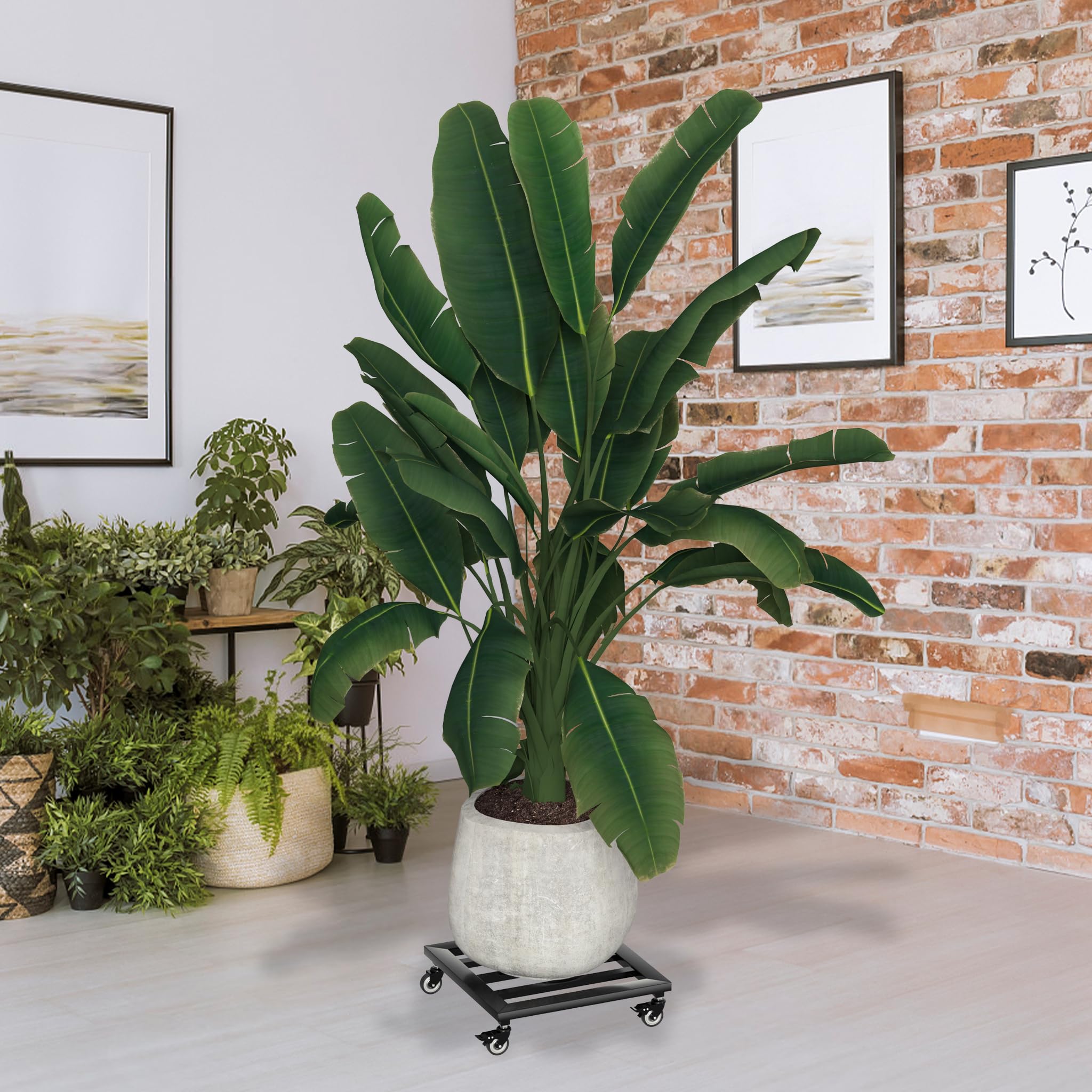 NAIZY Lot de 2 planches à roulettes pour plantes - 30 x 30 cm - Soucoupe carrée avec 4 roulettes - Capacité de charge : 160 kg - Pour l'extérieur et l'intérieur (type A)