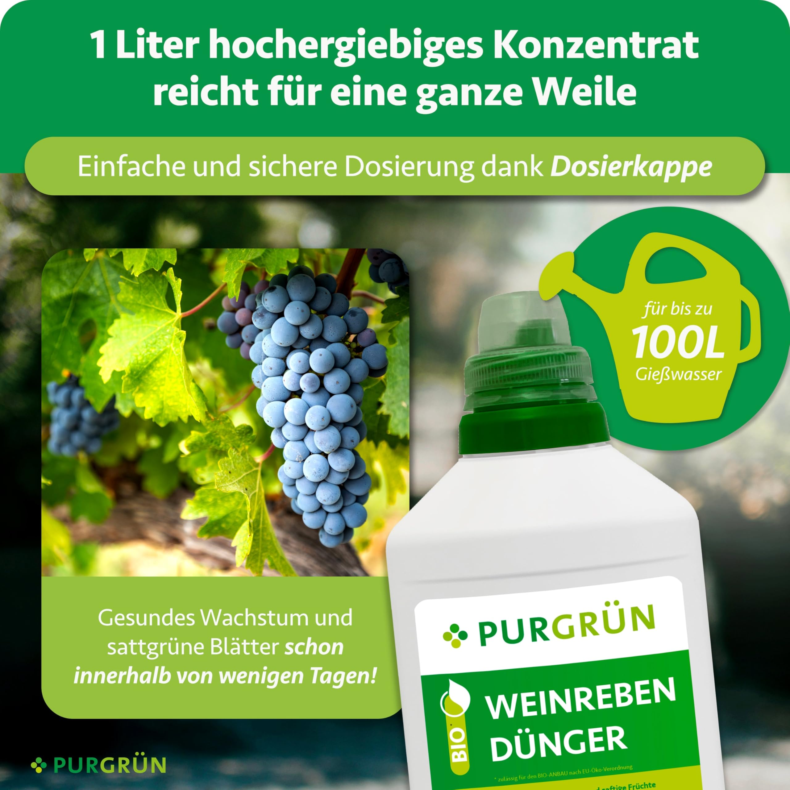 Wilder Wein Dnger Purgrn Bio 1L - NPK 4+1+7 Mit Algenextrakt & Vinasse  Organischer Flssigdnger NPK 4+1+7
